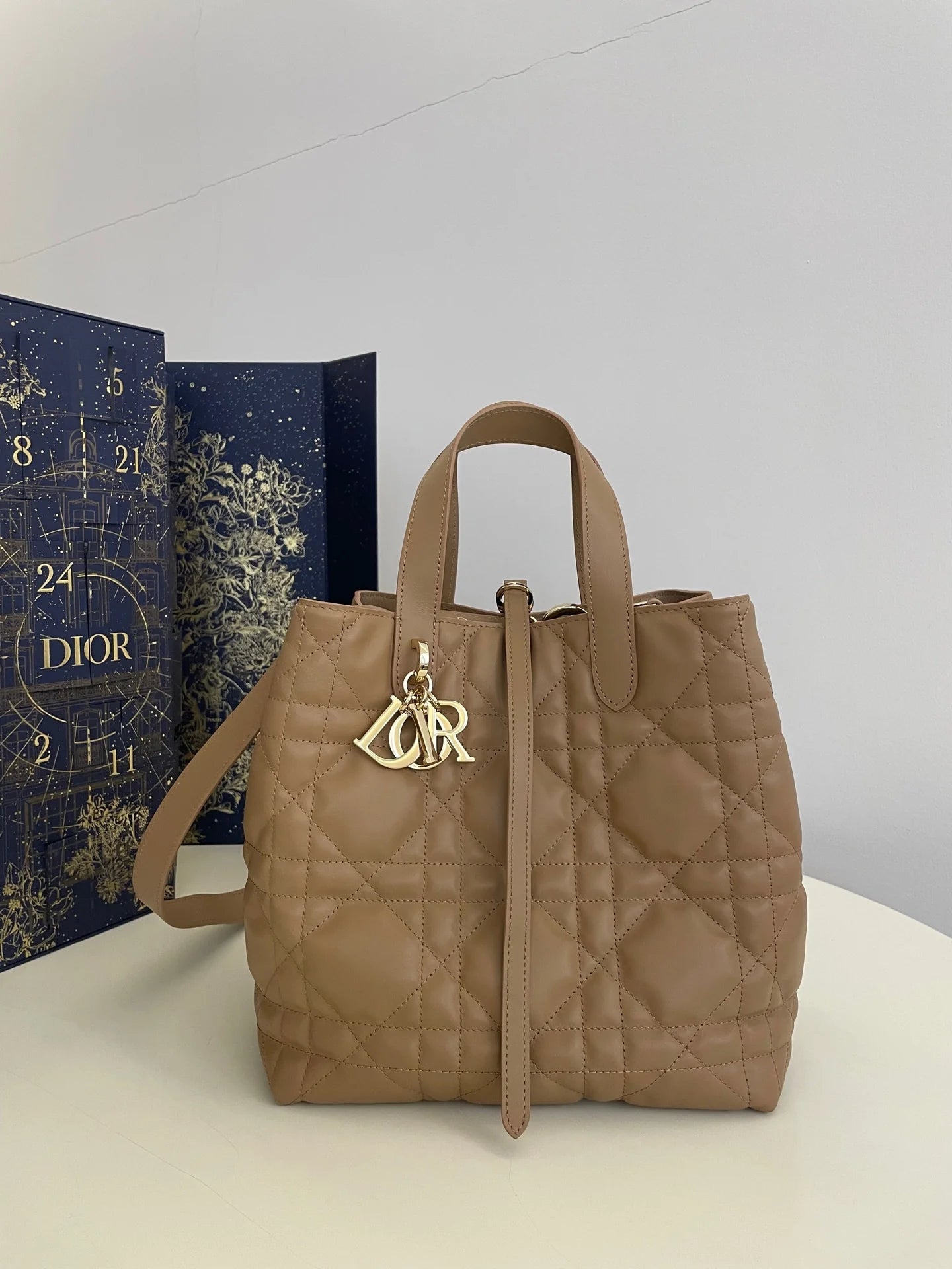 DIOR TOUJOURS BAG