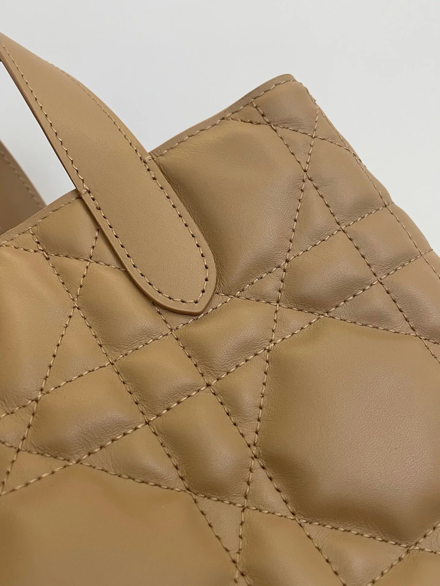 DIOR TOUJOURS BAG