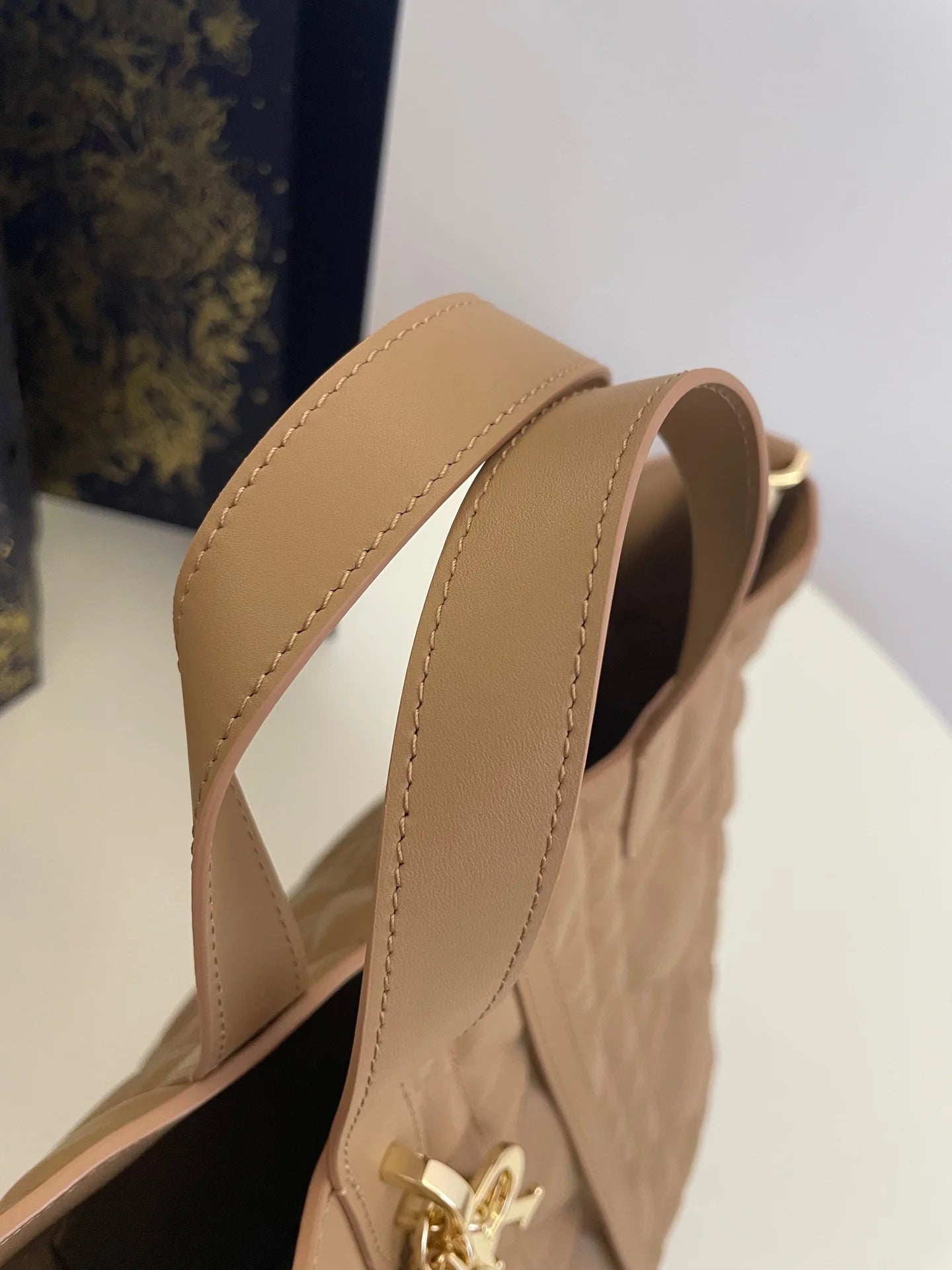 DIOR TOUJOURS BAG