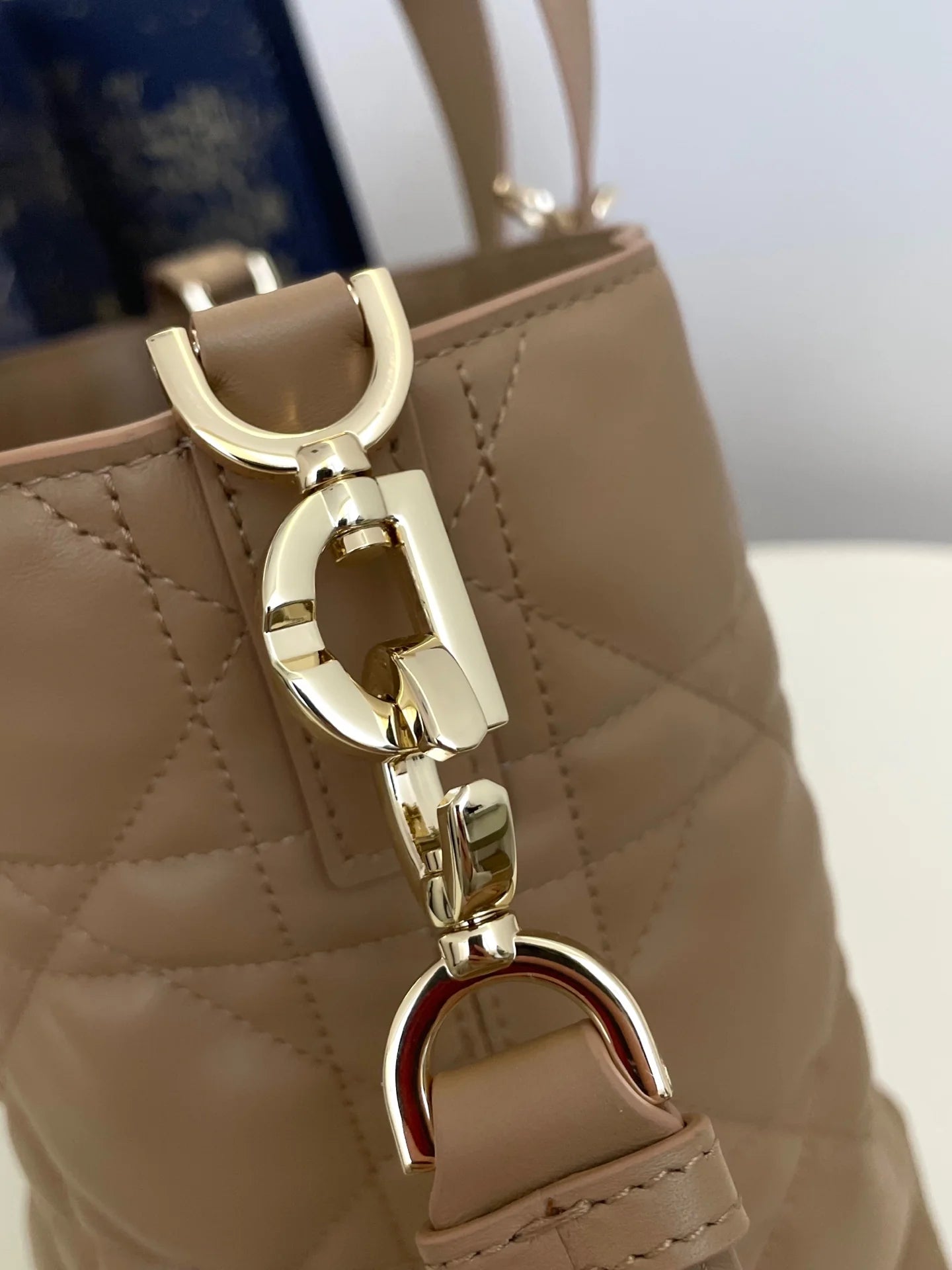 DIOR TOUJOURS BAG