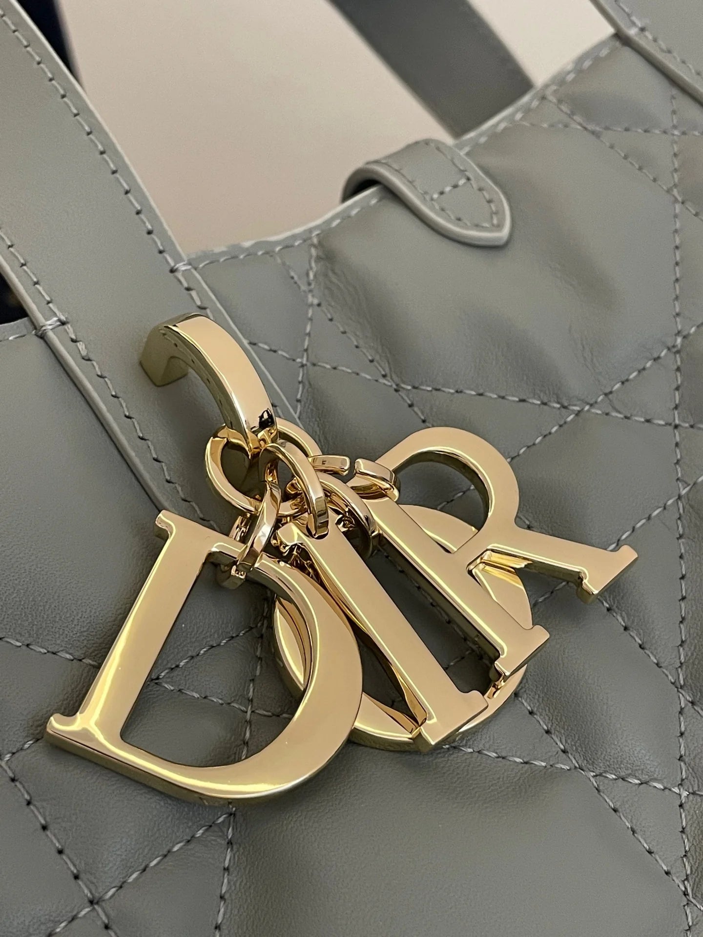 DIOR TOUJOURS BAG