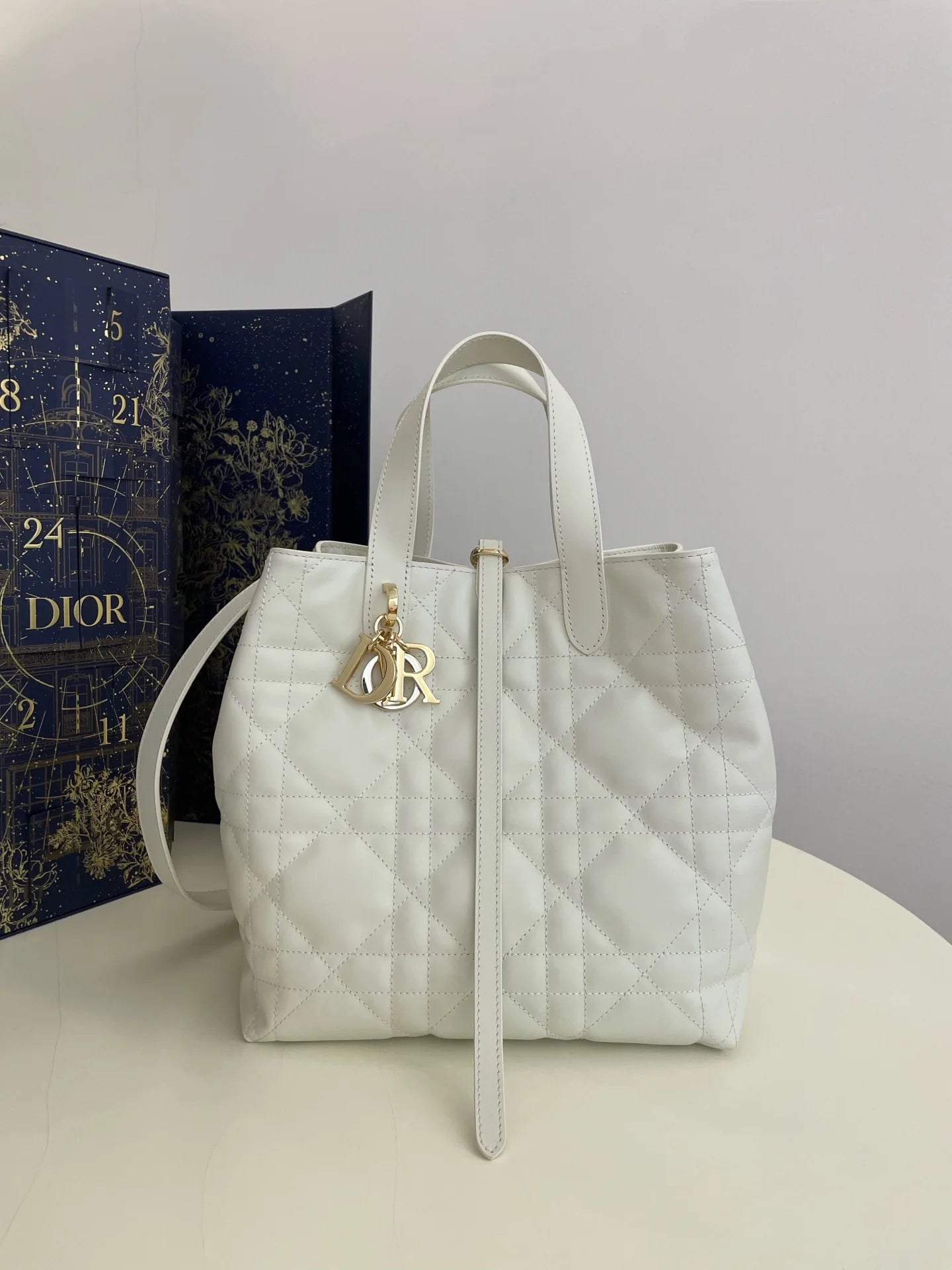 DIOR TOUJOURS BAG