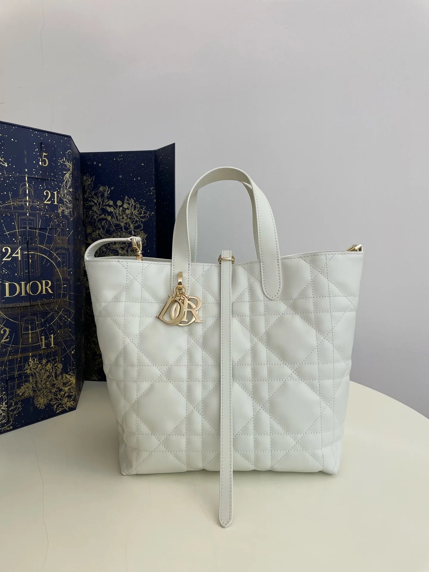 DIOR TOUJOURS BAG