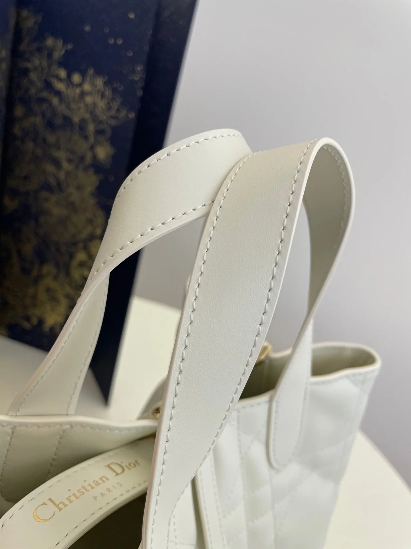DIOR TOUJOURS BAG