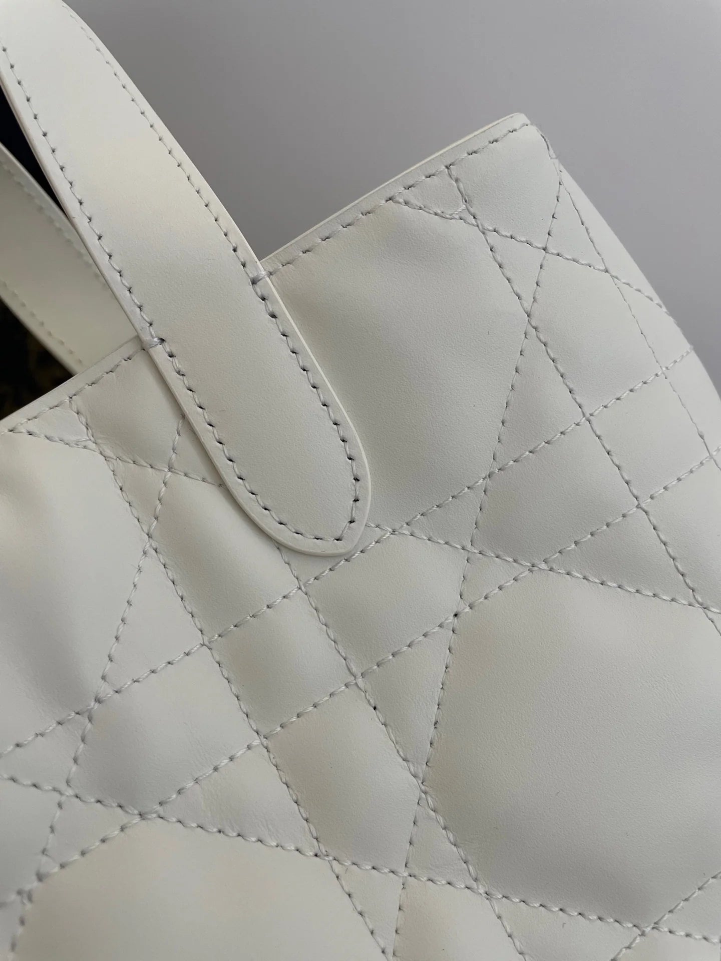 DIOR TOUJOURS BAG