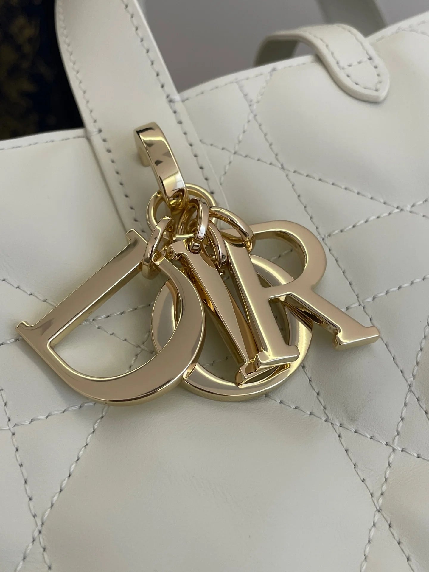 DIOR TOUJOURS BAG