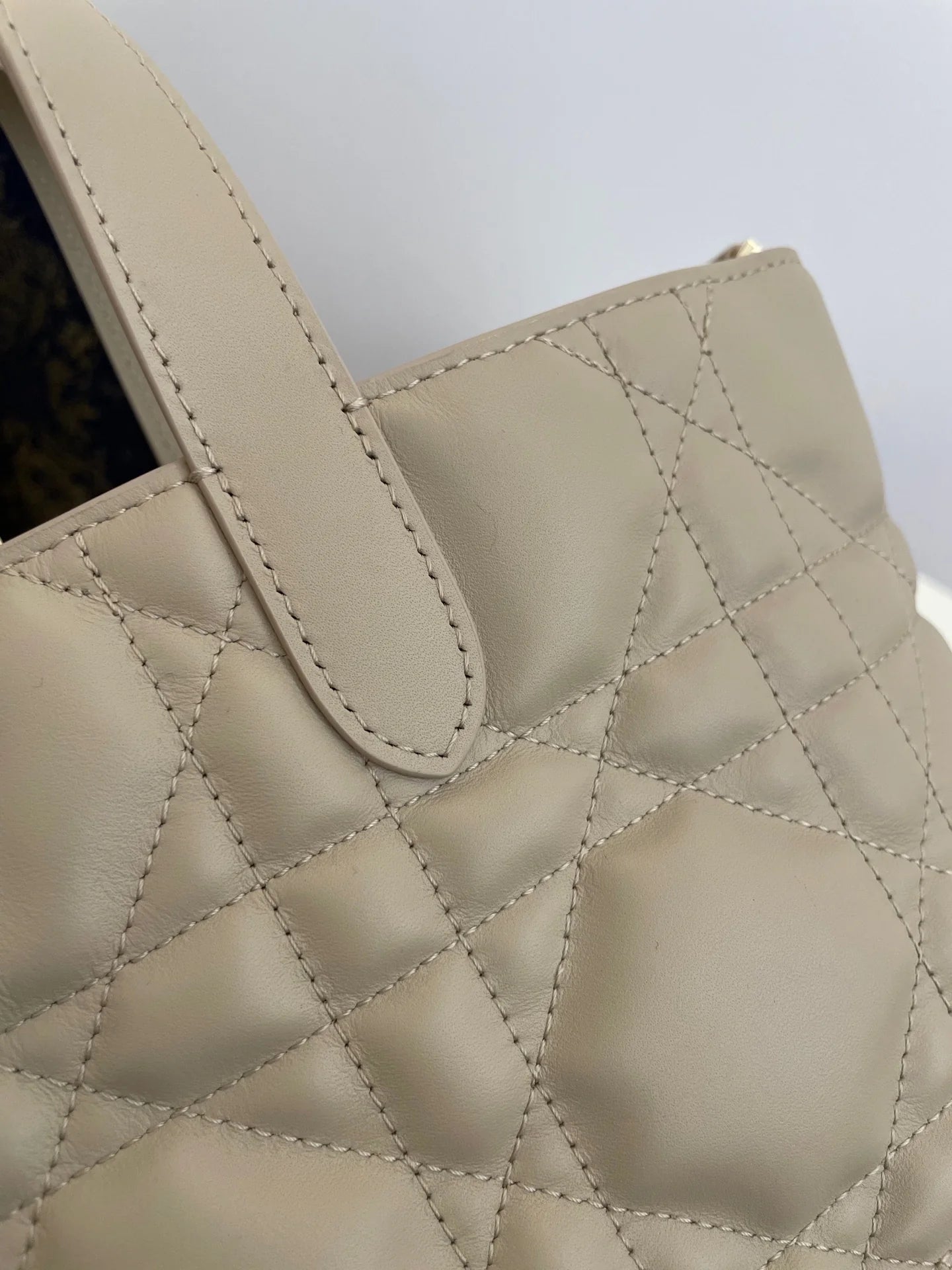 DIOR TOUJOURS BAG
