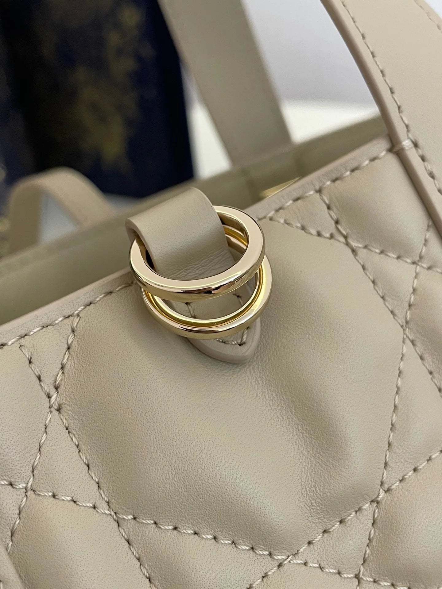 DIOR TOUJOURS BAG