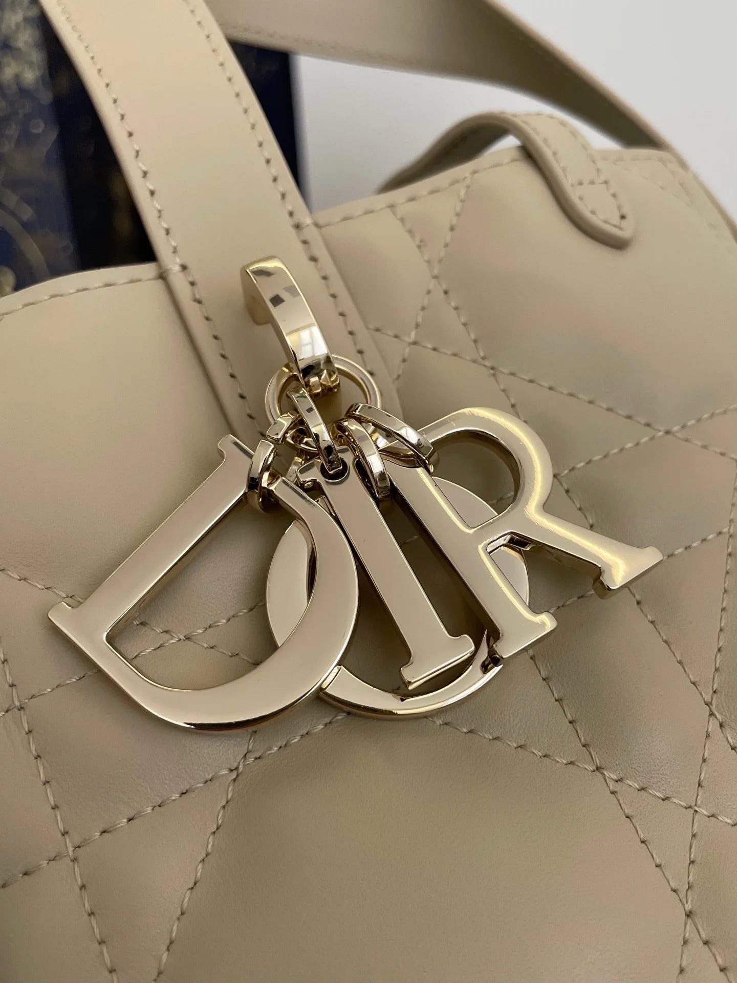 DIOR TOUJOURS BAG