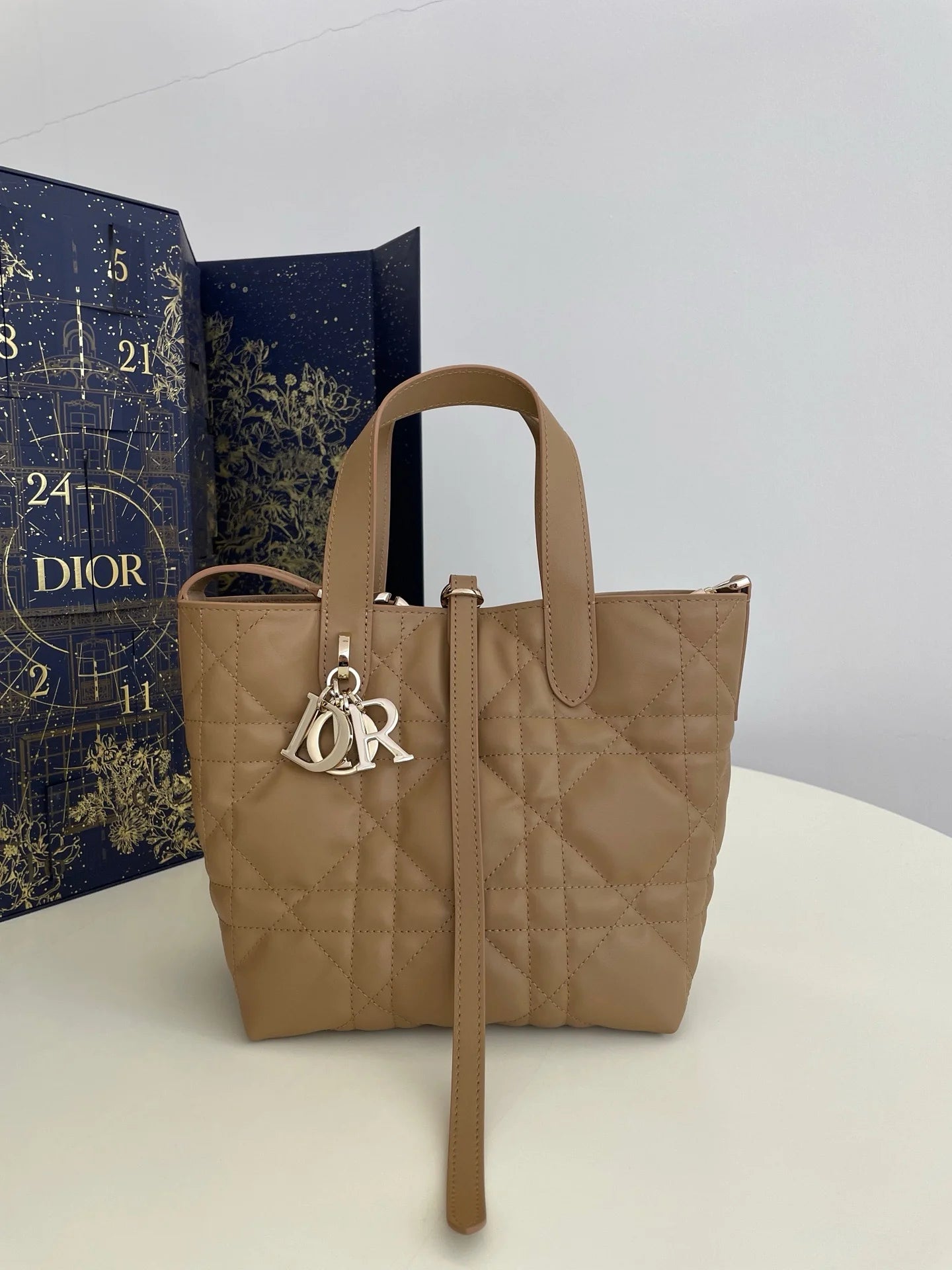 DIOR TOUJOURS BAG