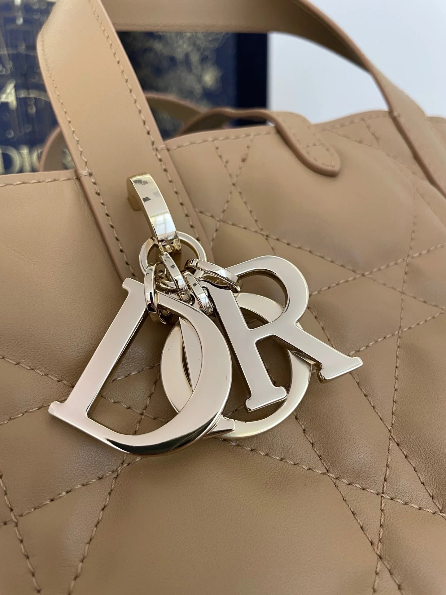 DIOR TOUJOURS BAG