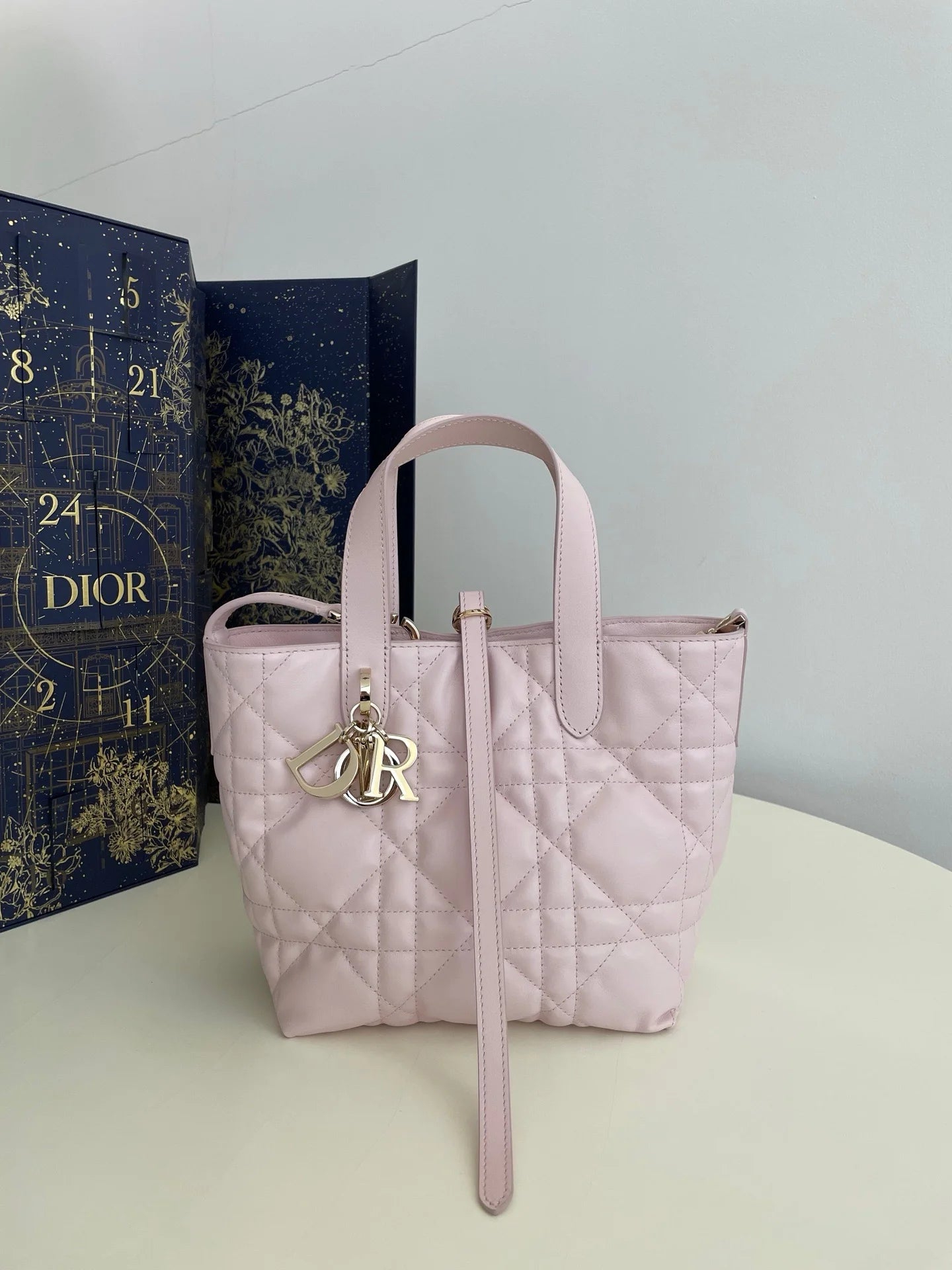 DIOR TOUJOURS BAG