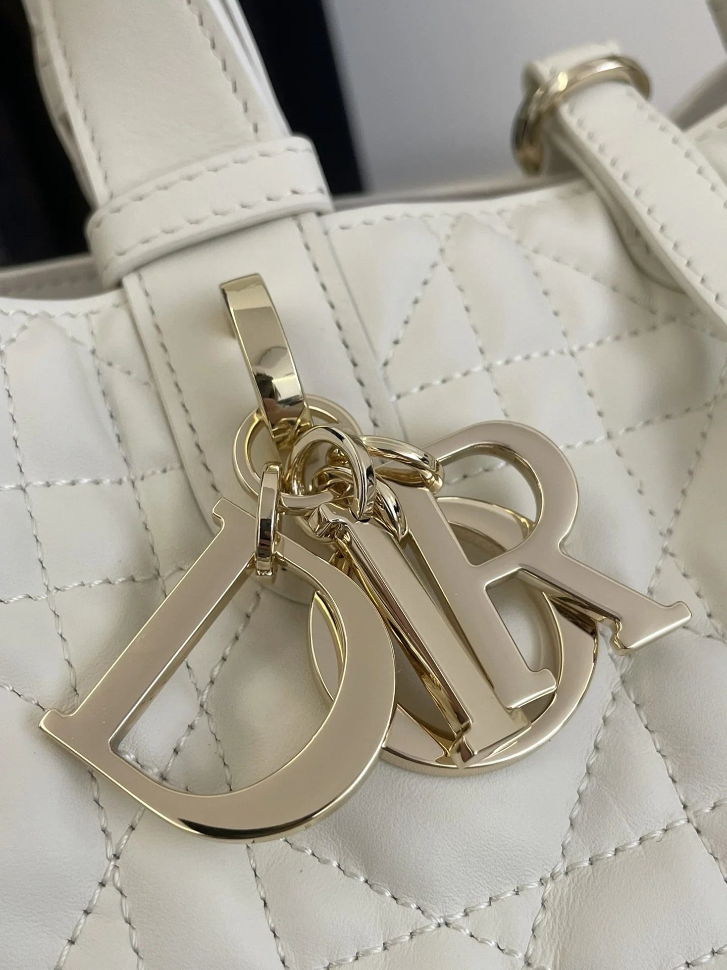 DIOR TOUJOURS BAG