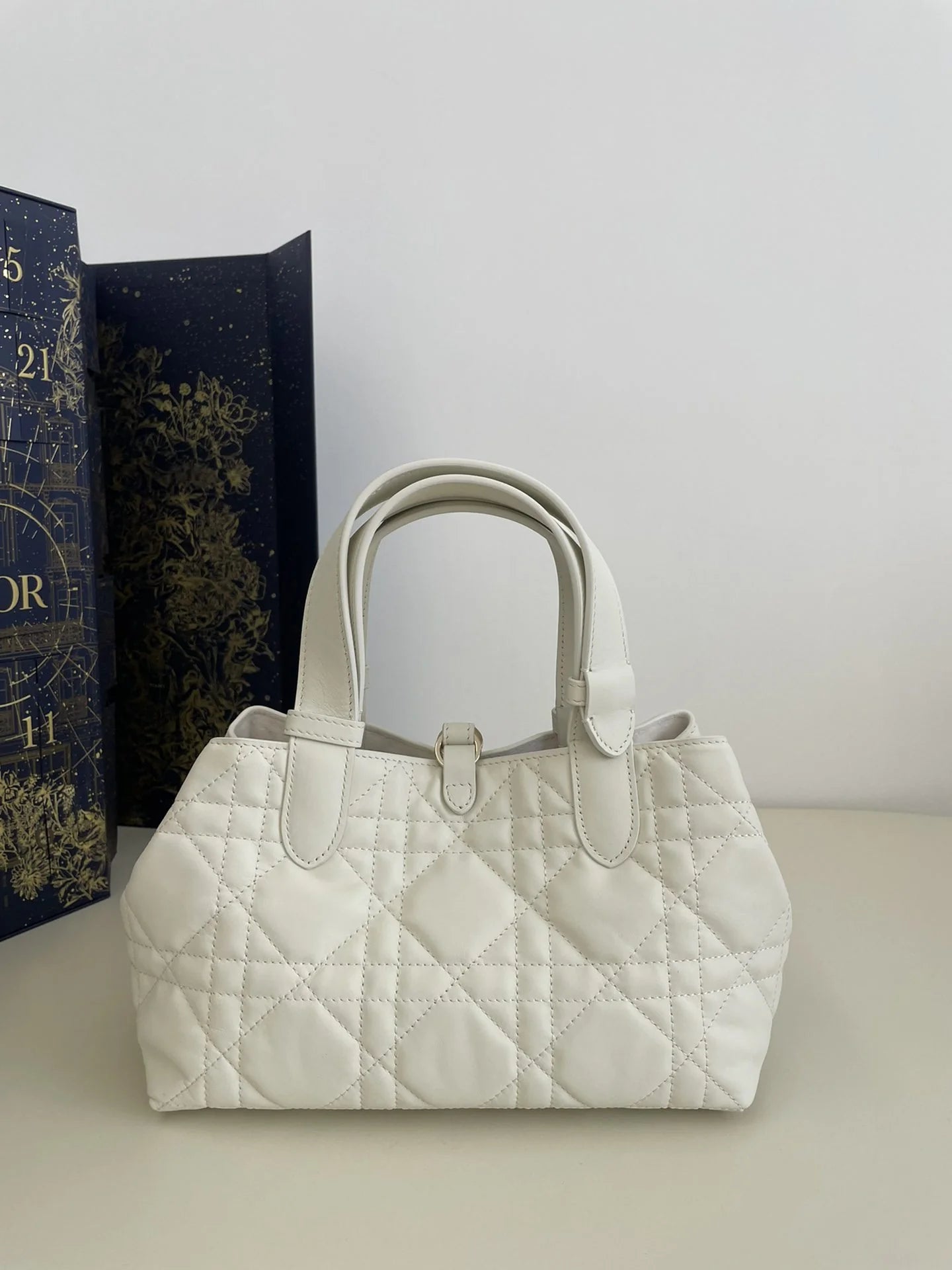 DIOR TOUJOURS BAG