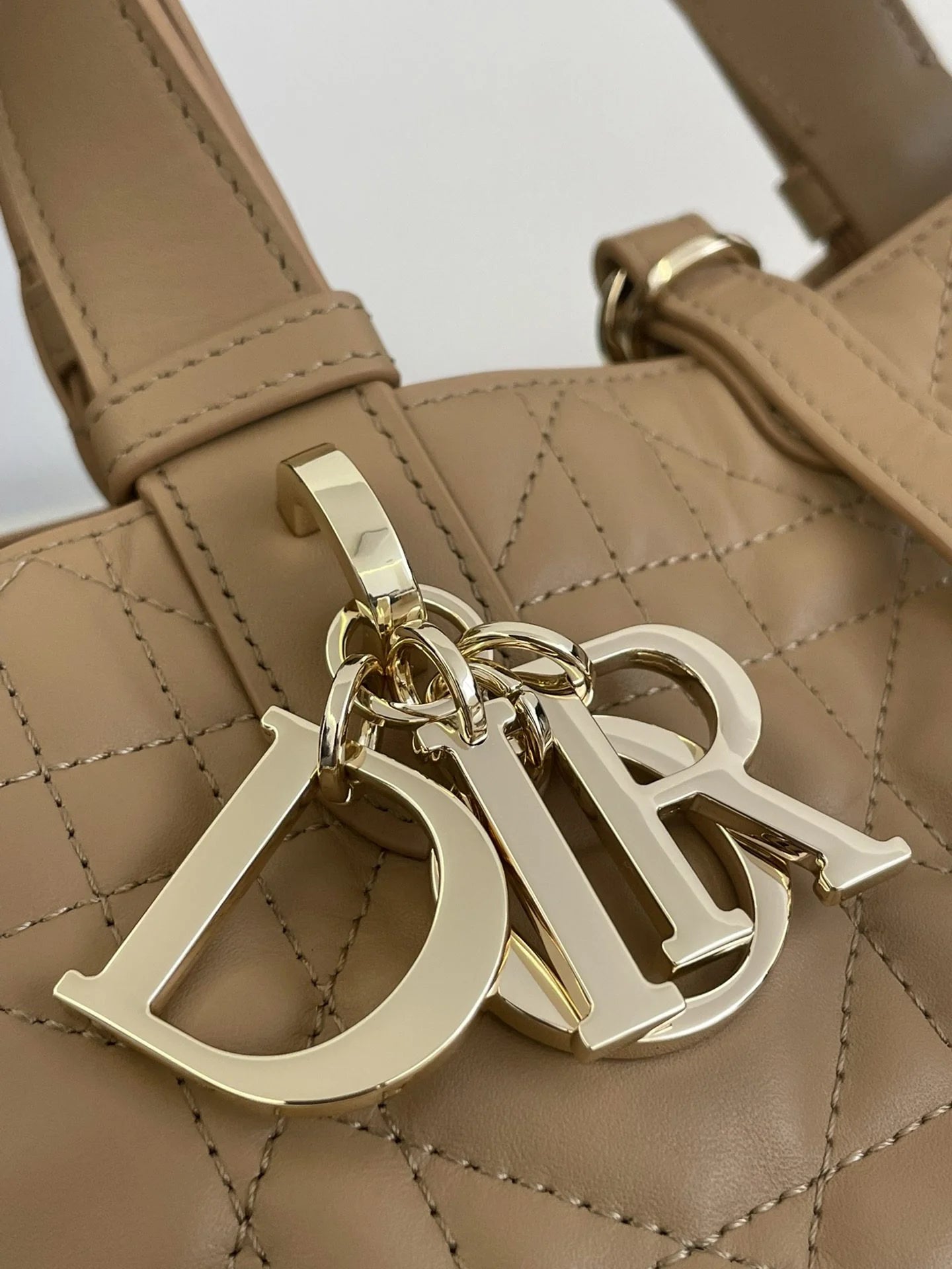 DIOR TOUJOURS BAG