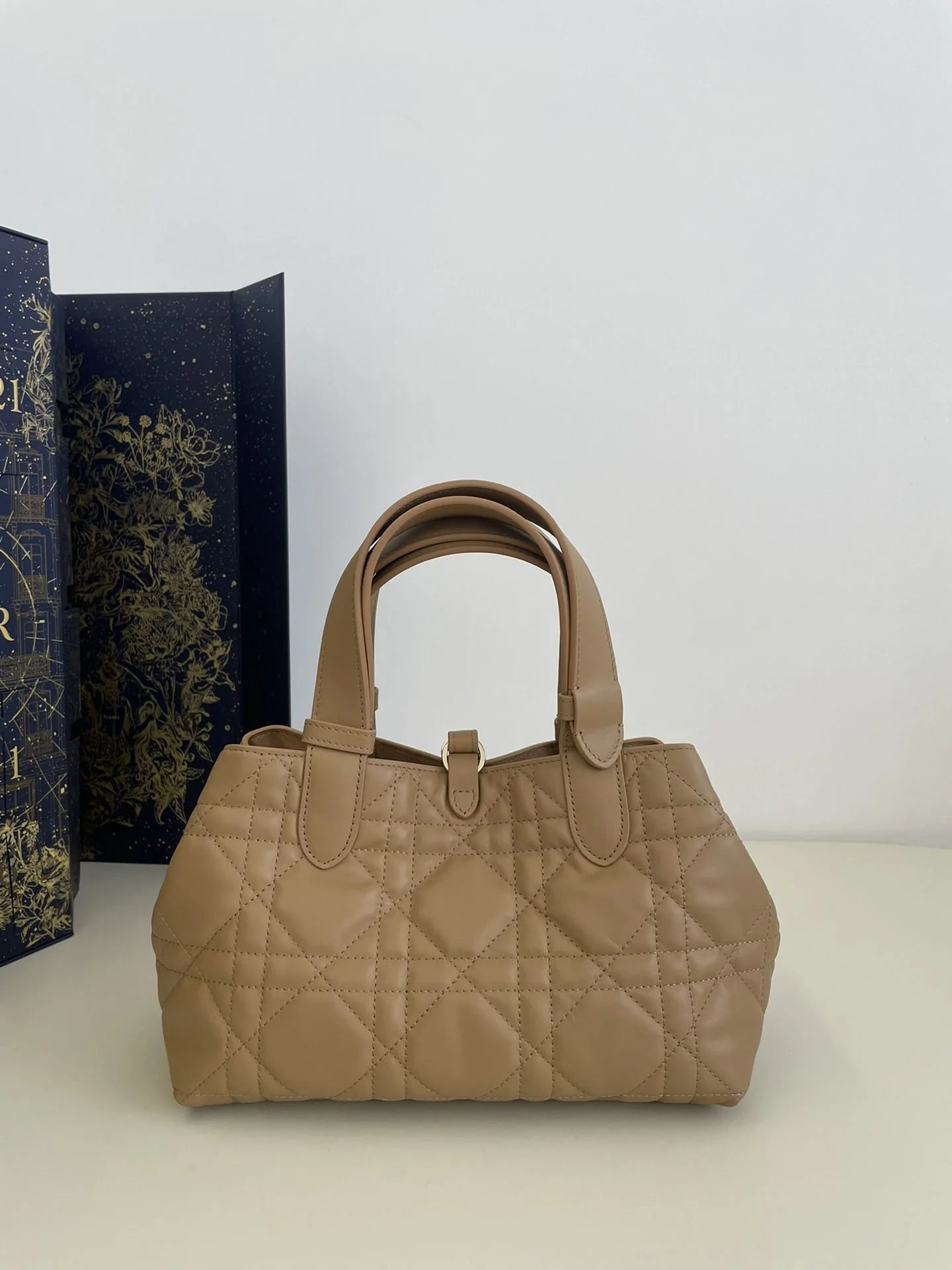 DIOR TOUJOURS BAG