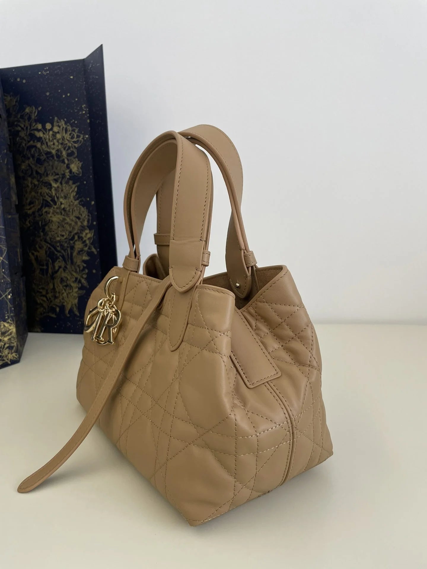 DIOR TOUJOURS BAG