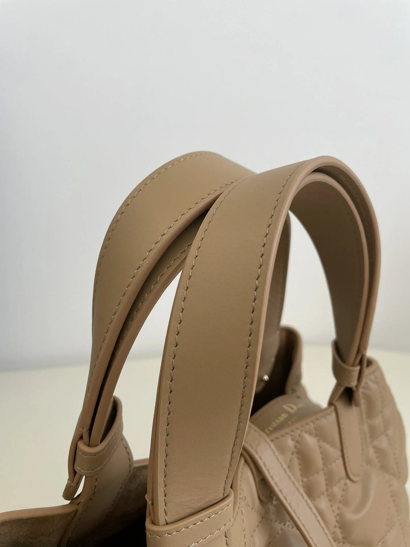 DIOR TOUJOURS BAG