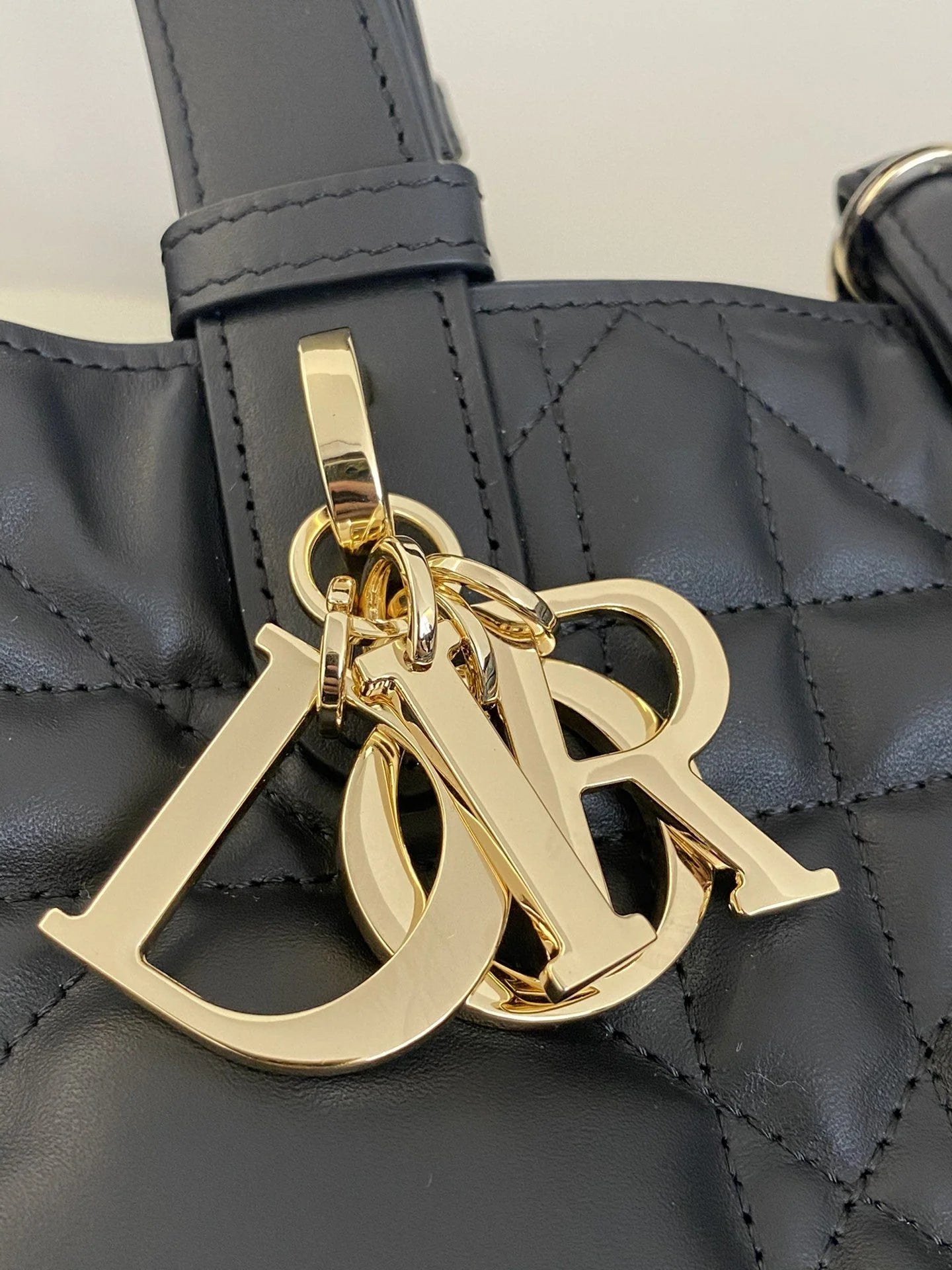 DIOR TOUJOURS BAG