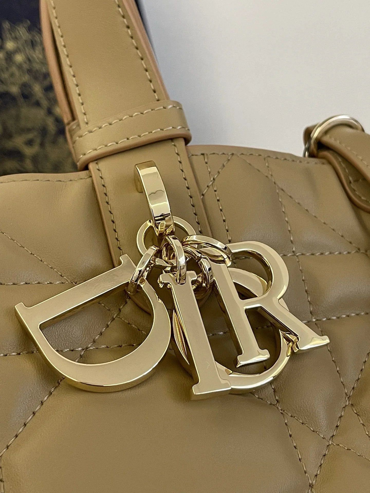 DIOR TOUJOURS BAG