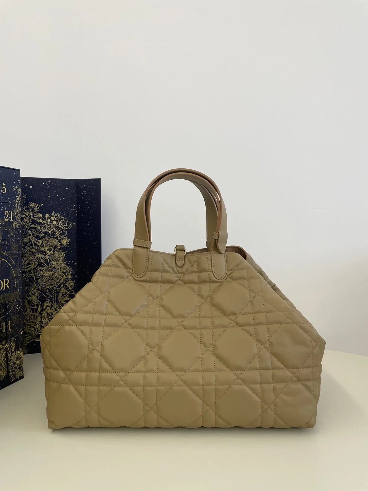 DIOR TOUJOURS BAG