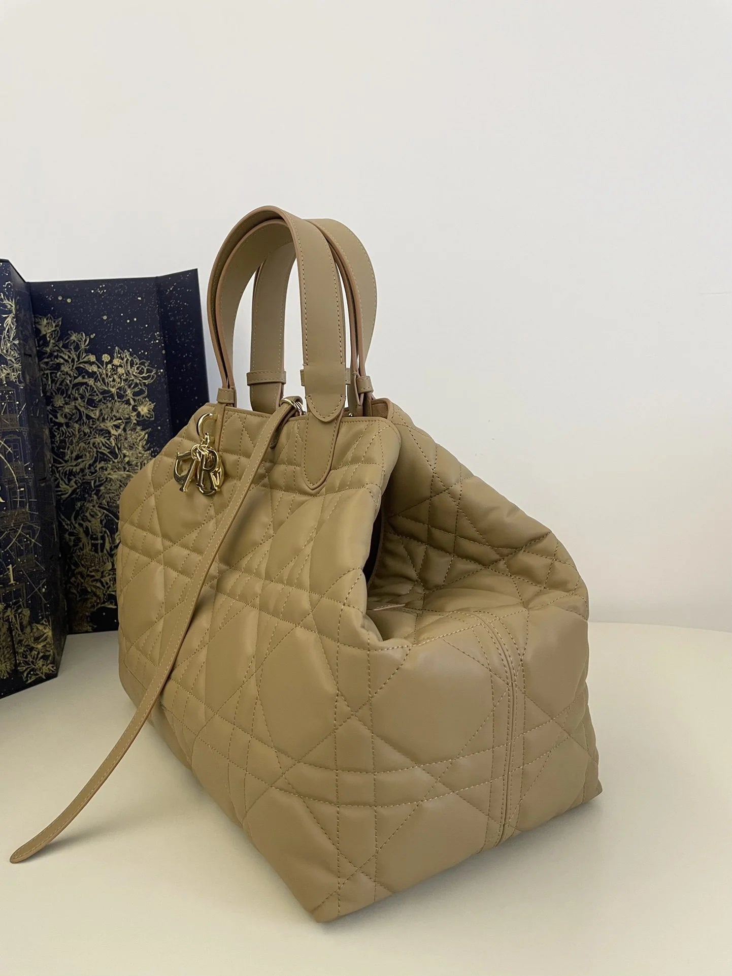 DIOR TOUJOURS BAG