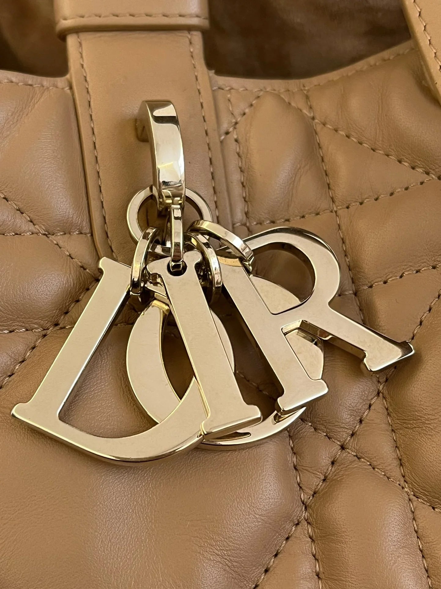DIOR TOUJOURS BAG