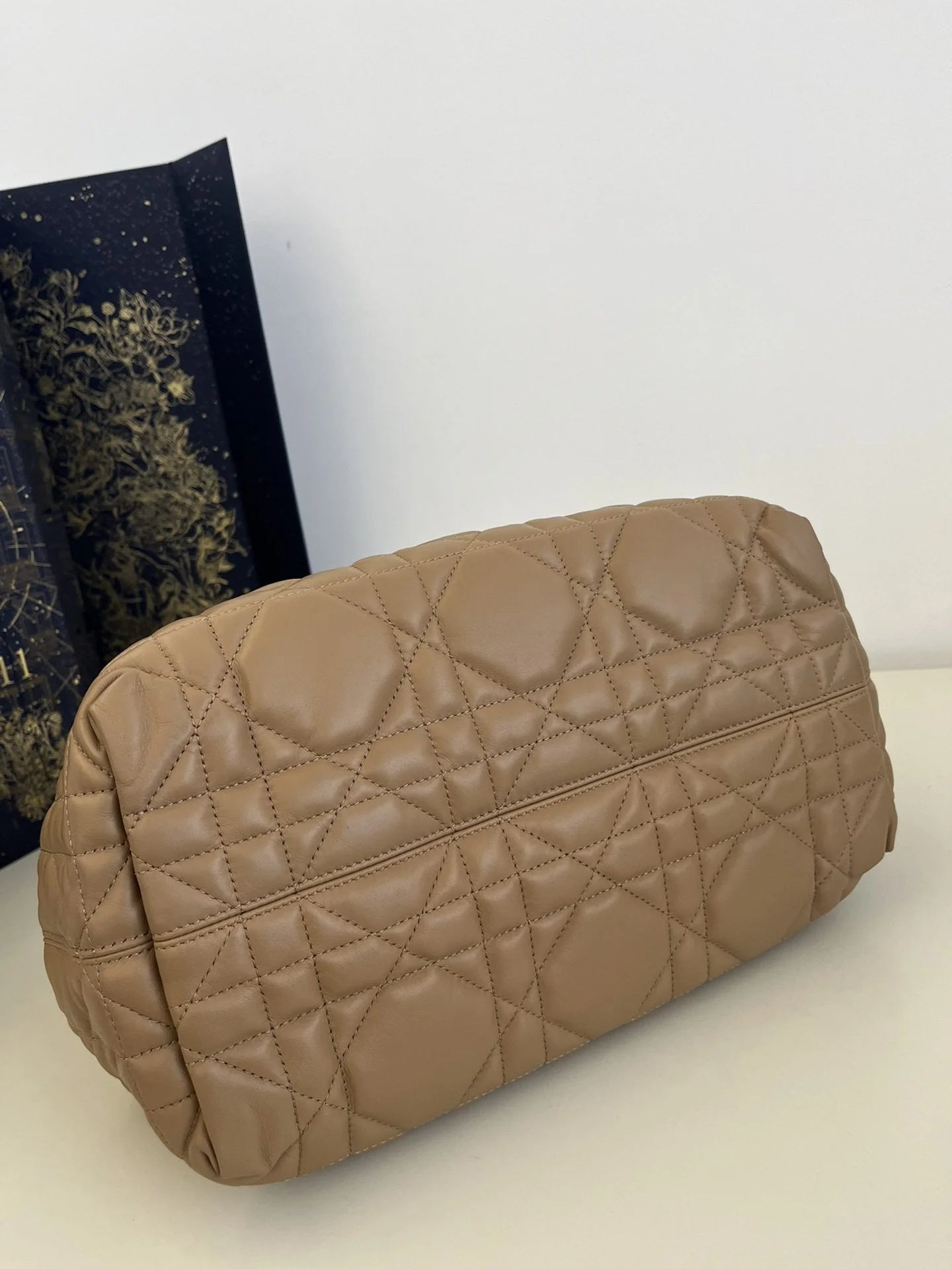 DIOR TOUJOURS BAG