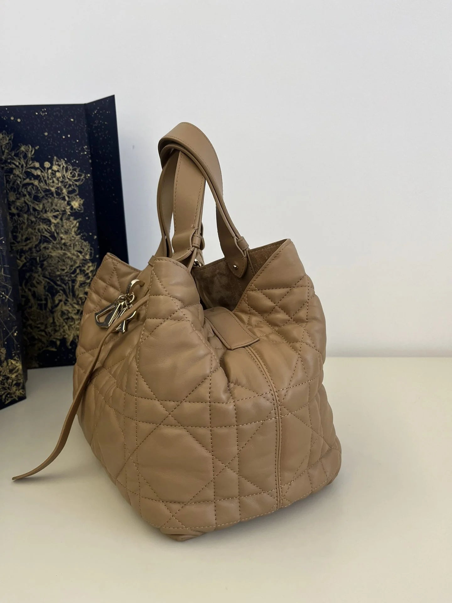 DIOR TOUJOURS BAG