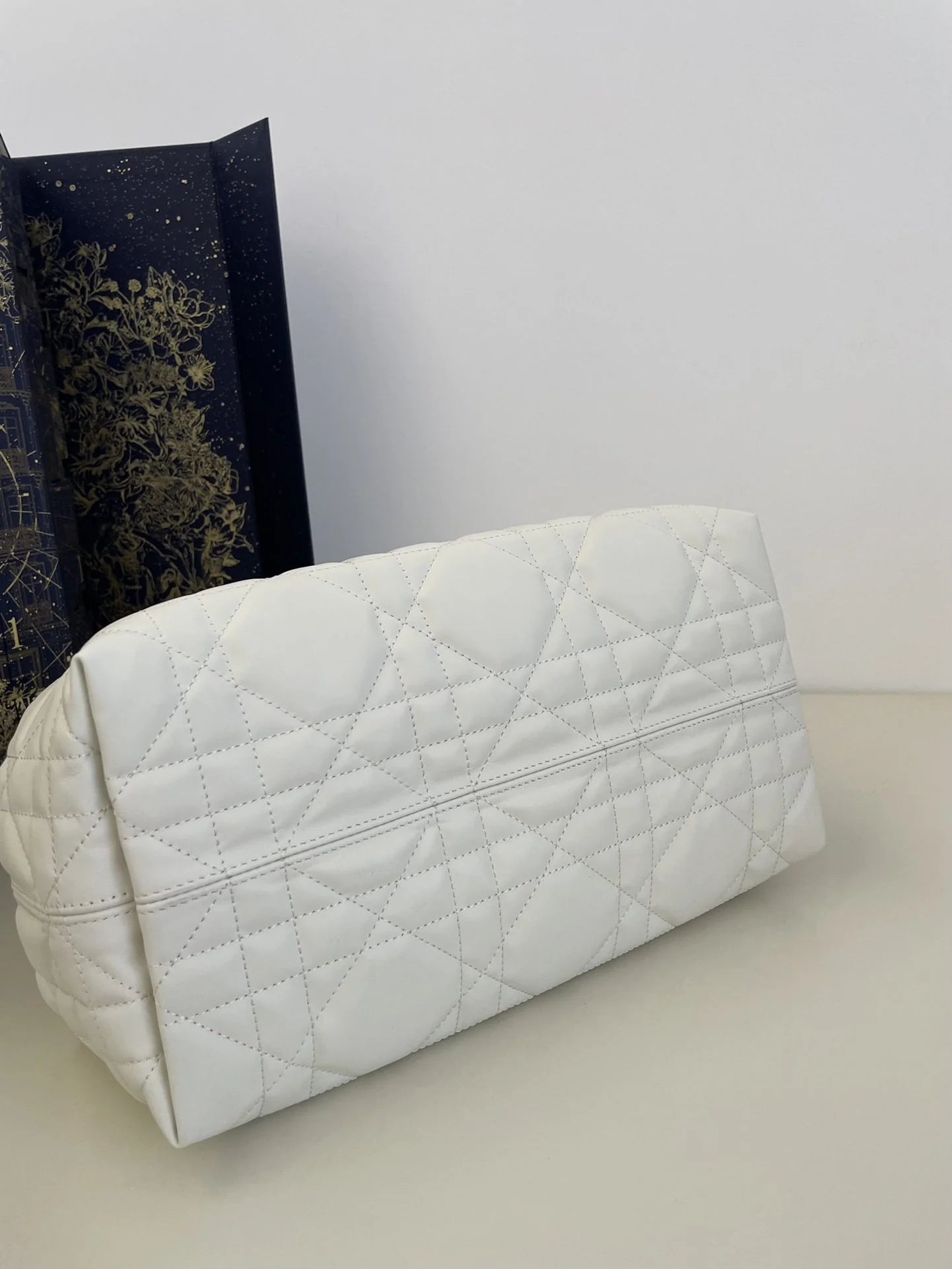 DIOR TOUJOURS BAG
