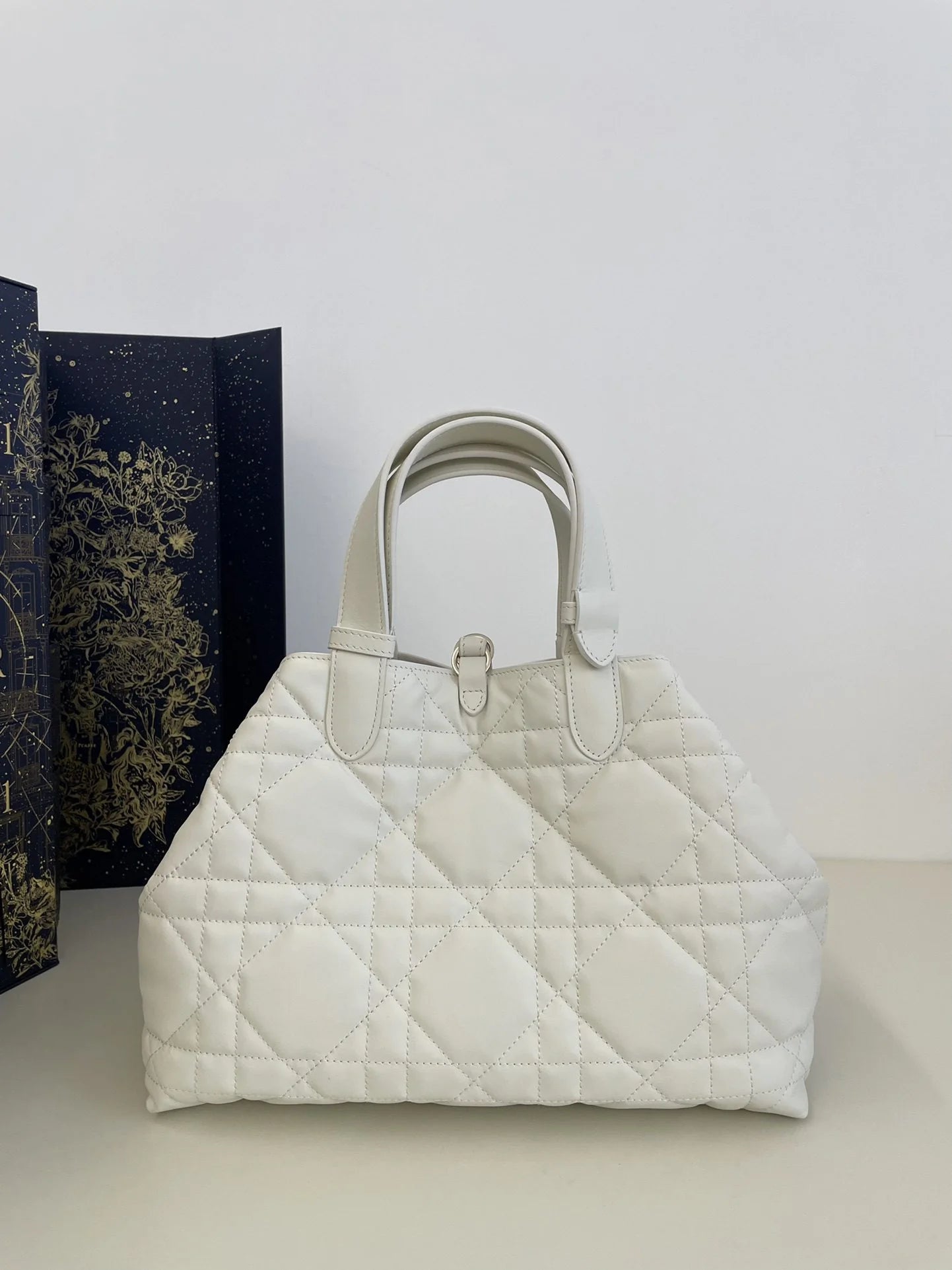 DIOR TOUJOURS BAG