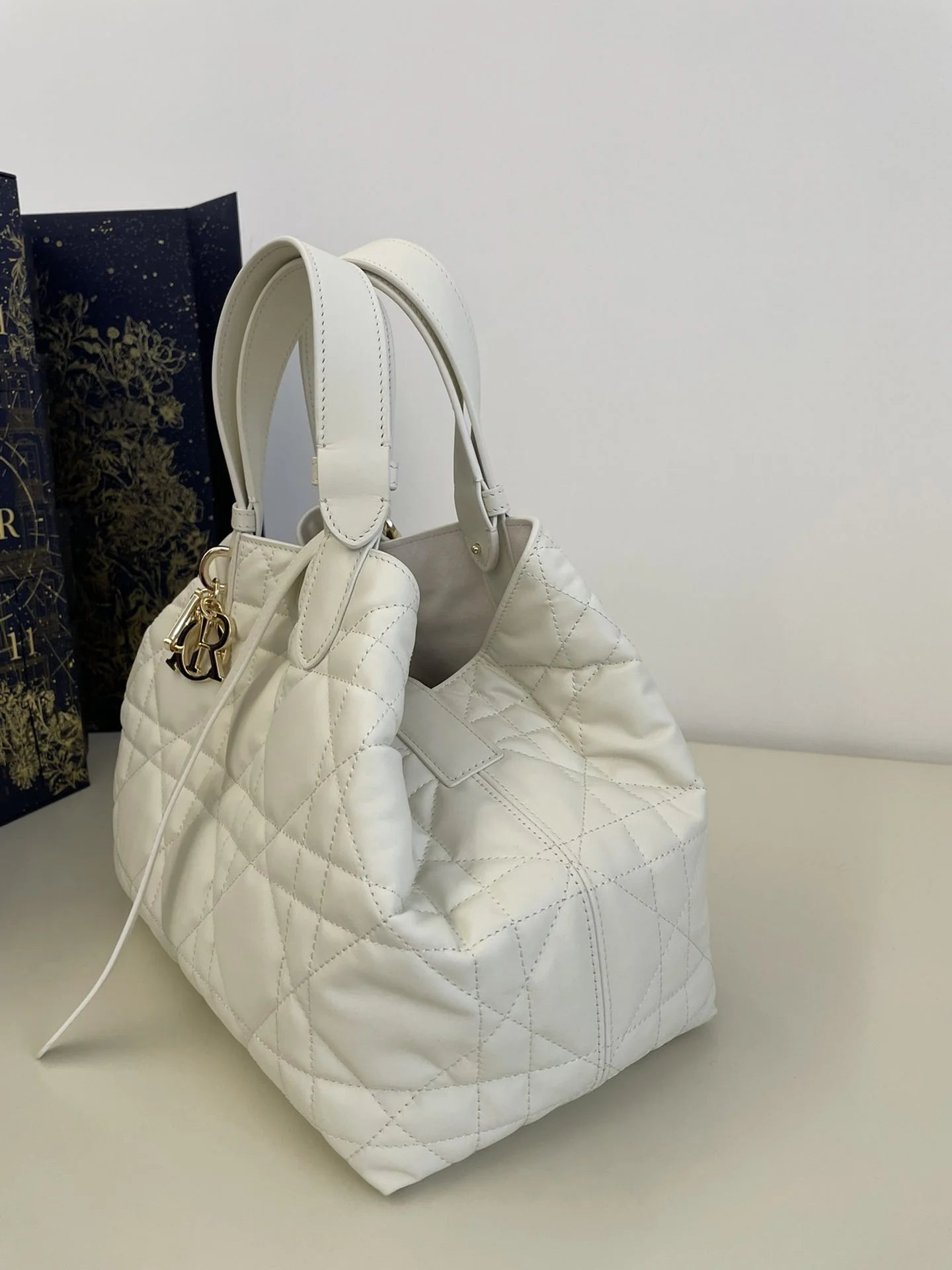DIOR TOUJOURS BAG