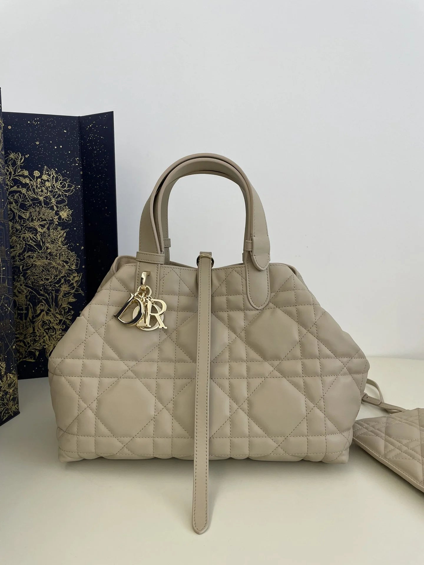 DIOR TOUJOURS BAG