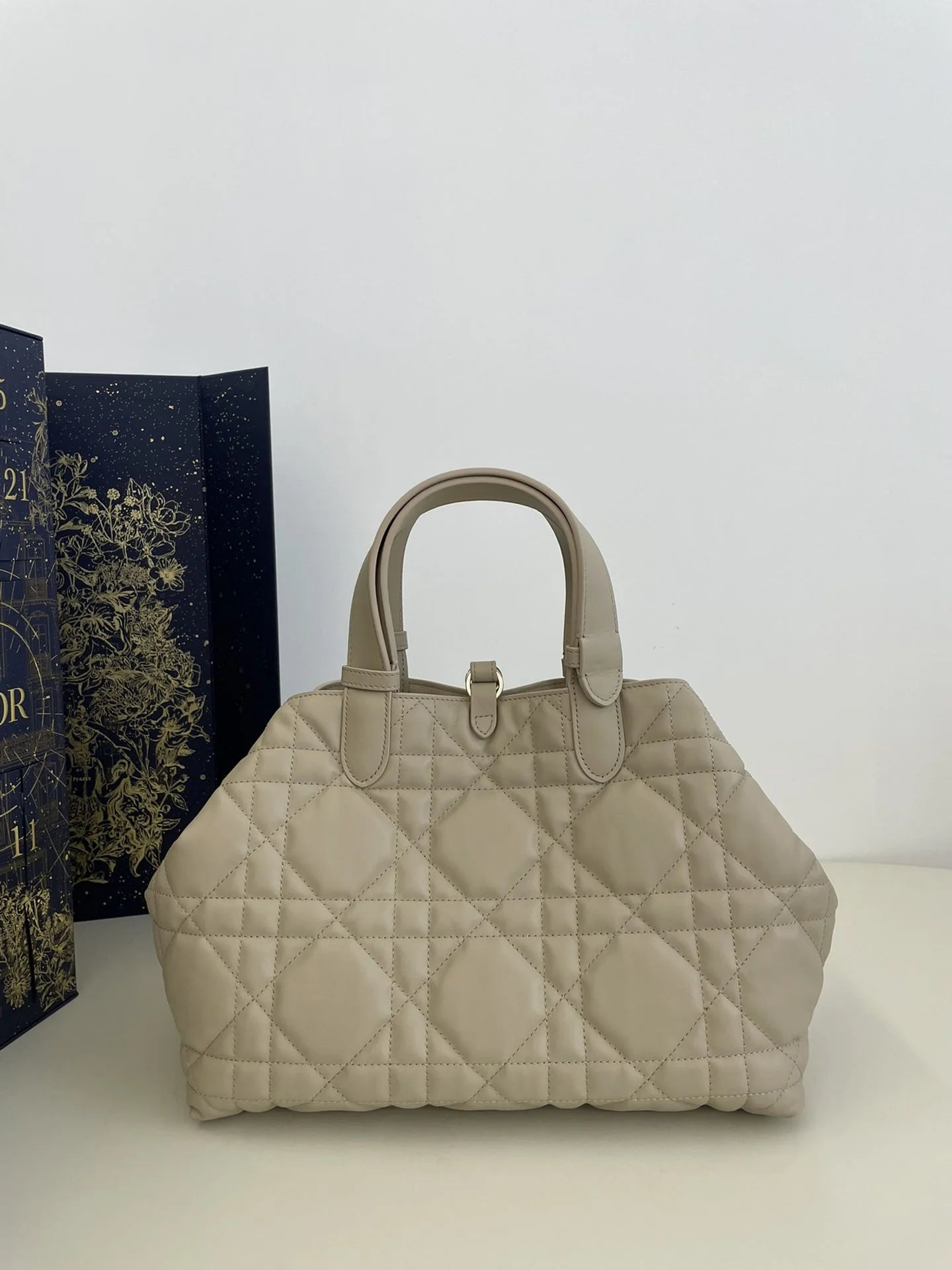 DIOR TOUJOURS BAG