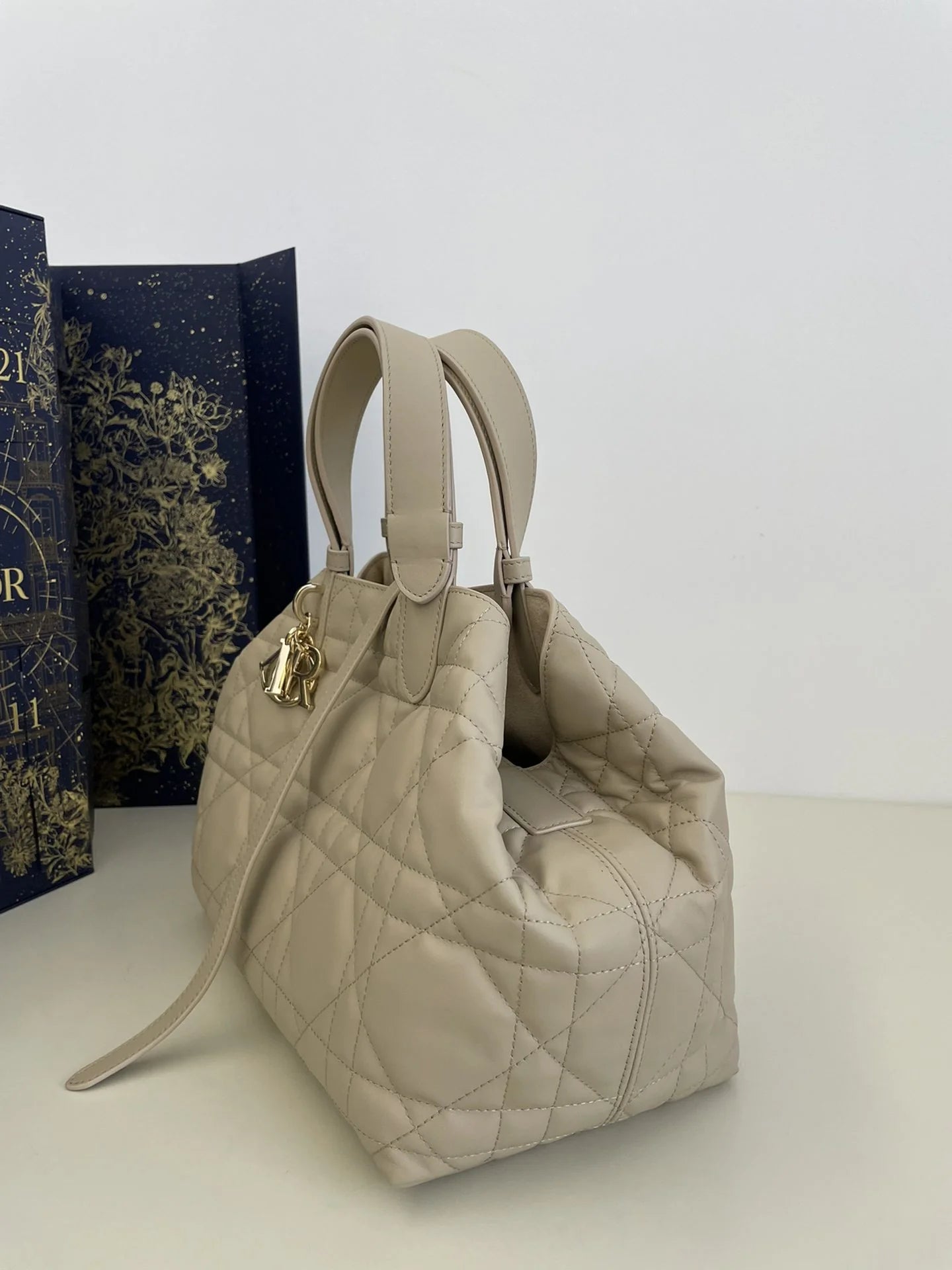 DIOR TOUJOURS BAG