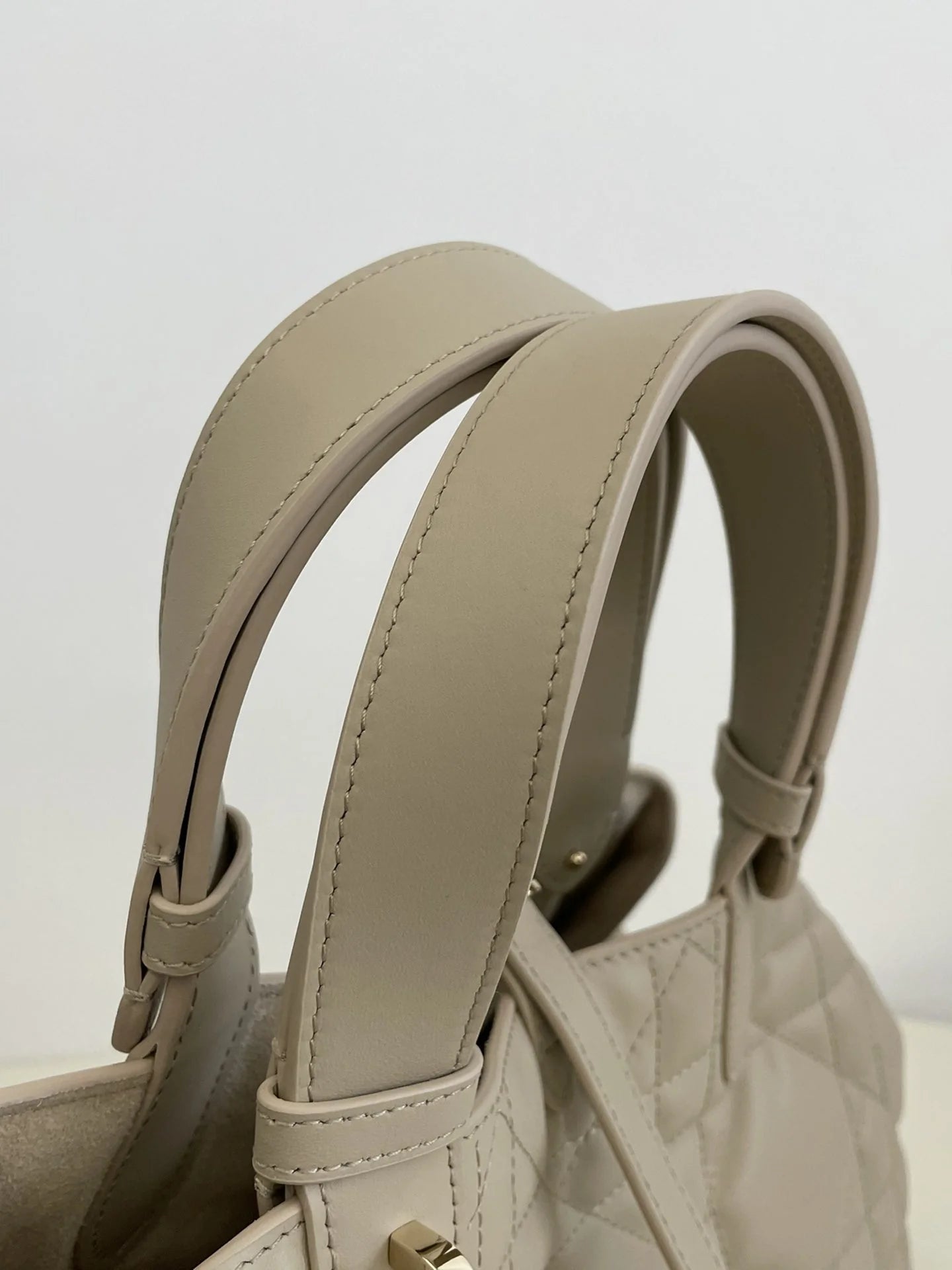 DIOR TOUJOURS BAG