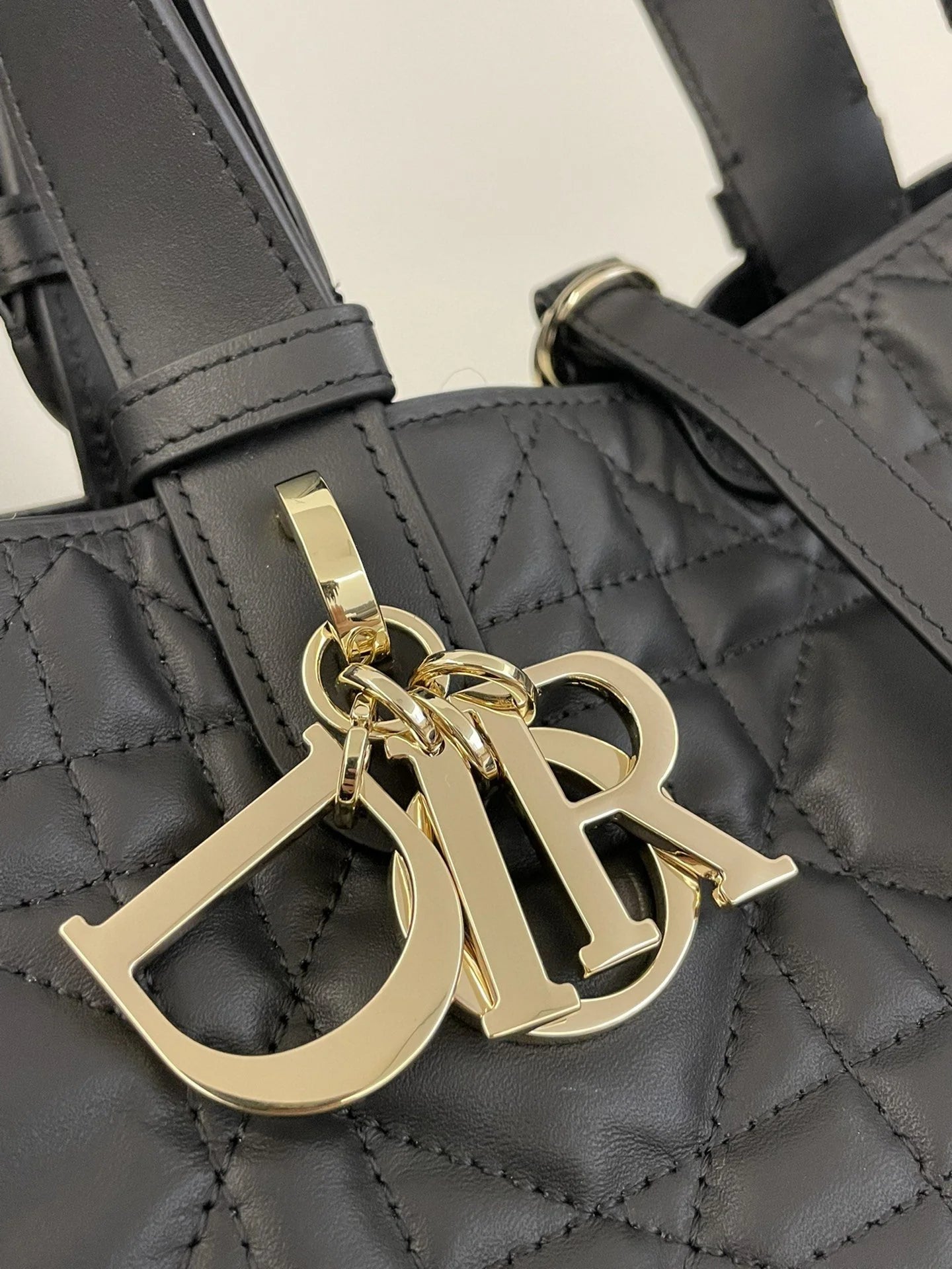 DIOR TOUJOURS BAG
