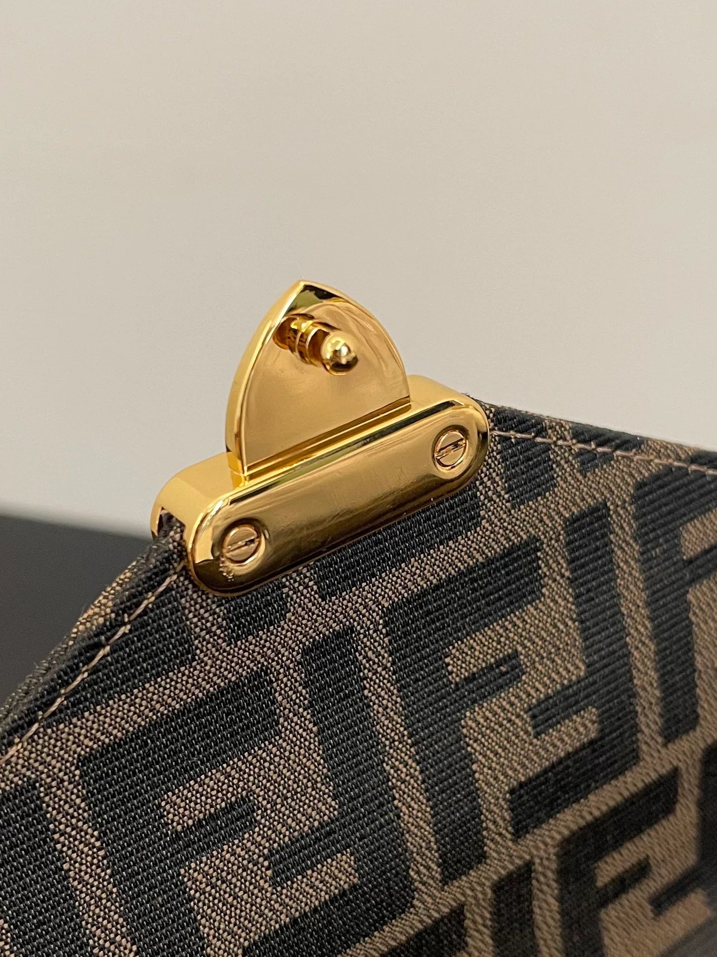 FENDI BAG