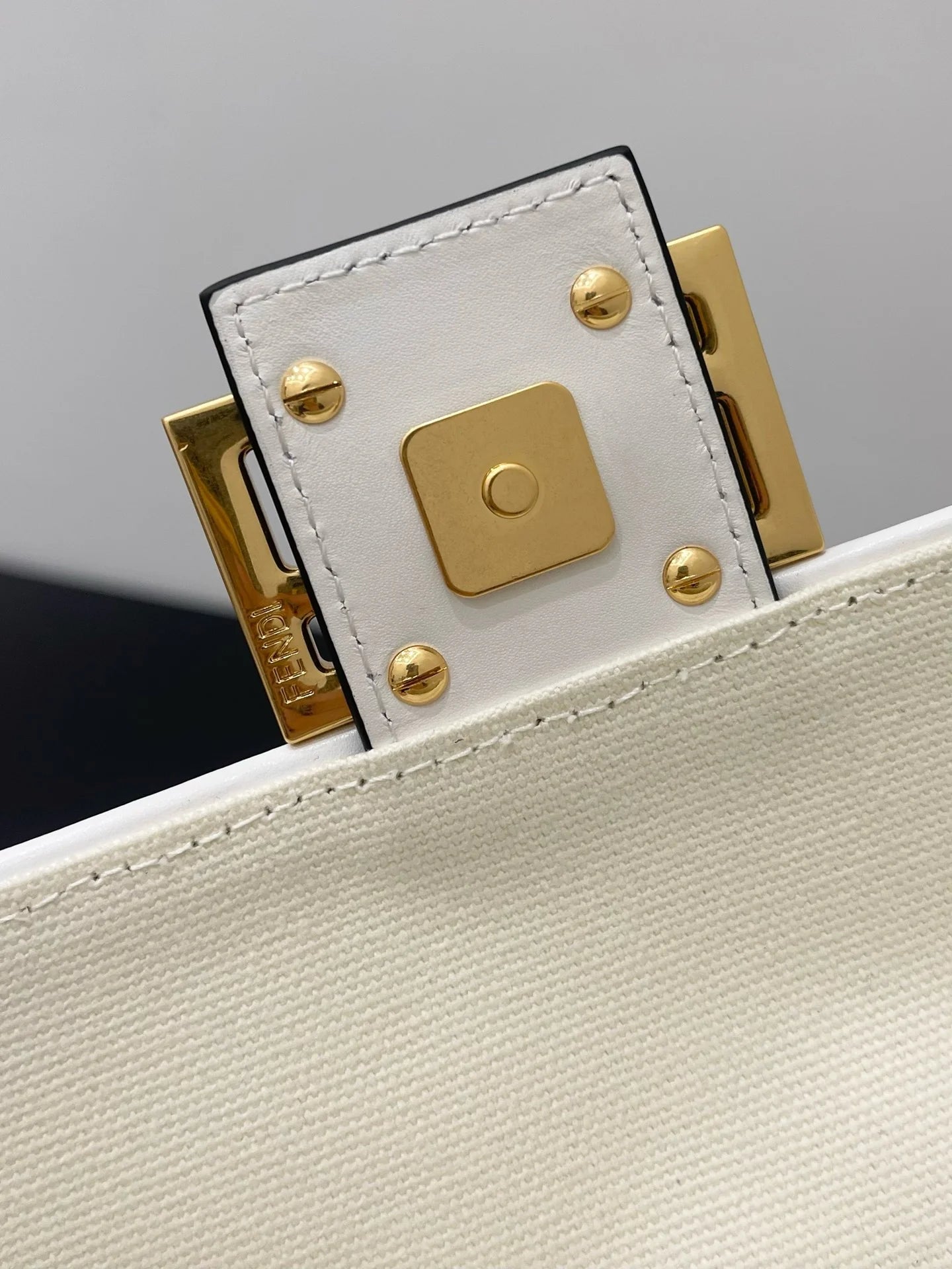FENDI BAG