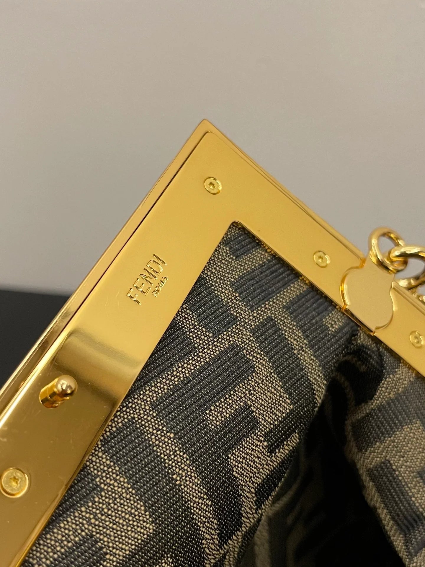 FENDI BAG