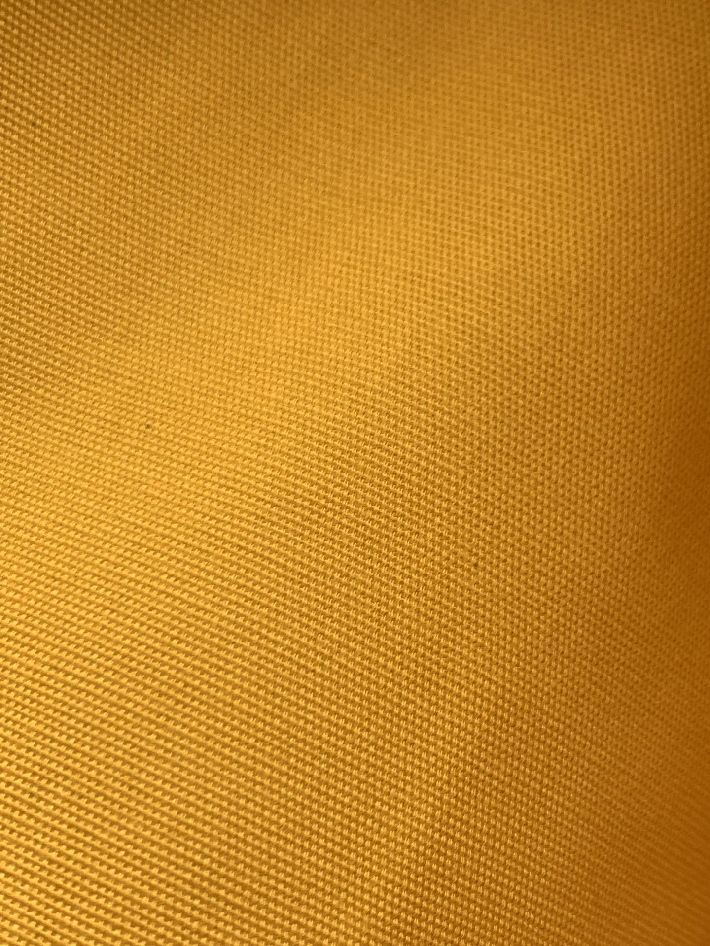 GOYARD BAG