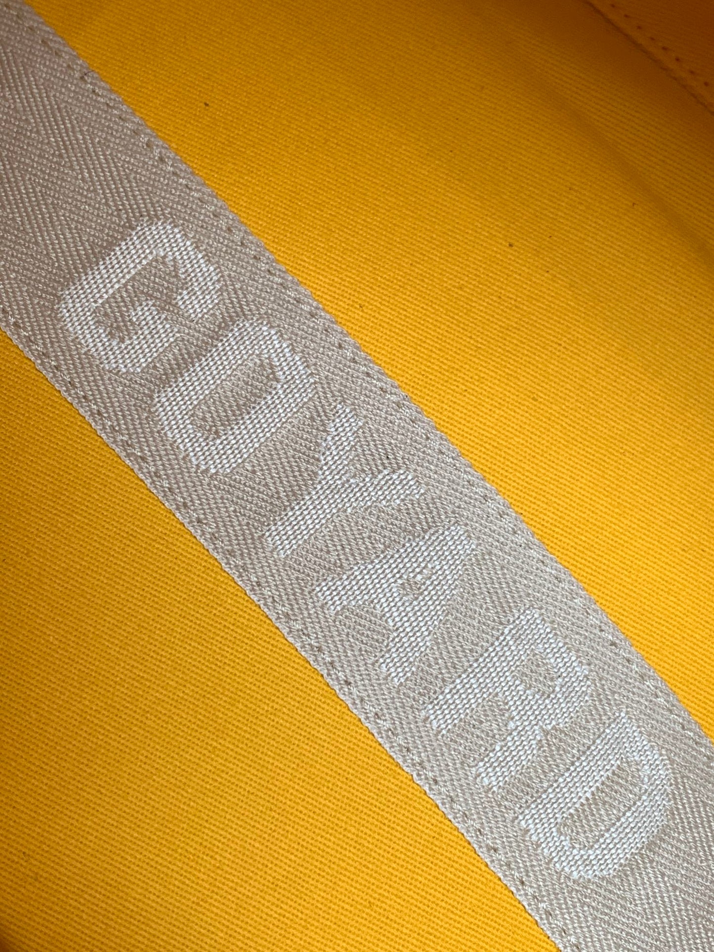 GOYARD BAG