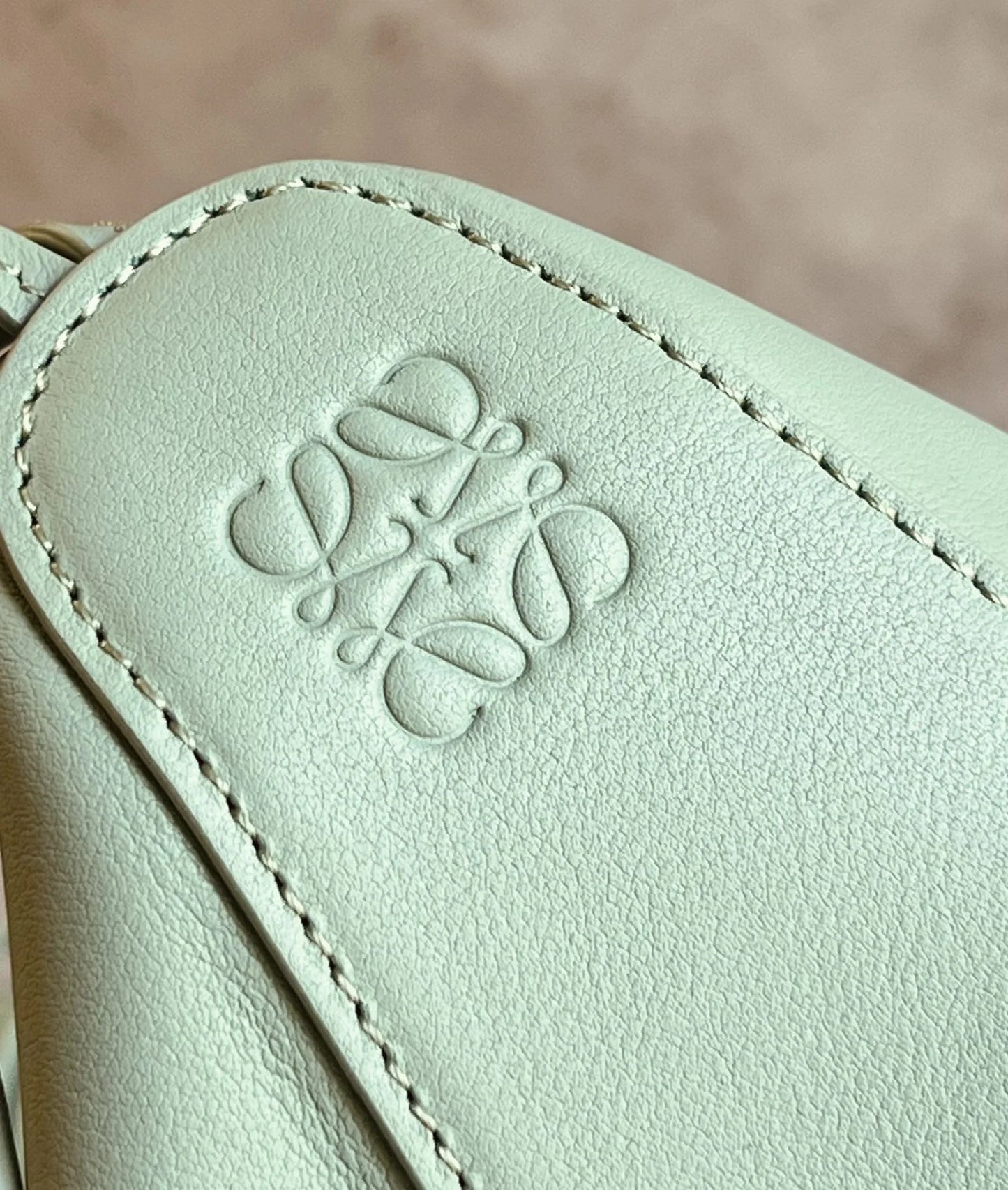 LOEWE BAG