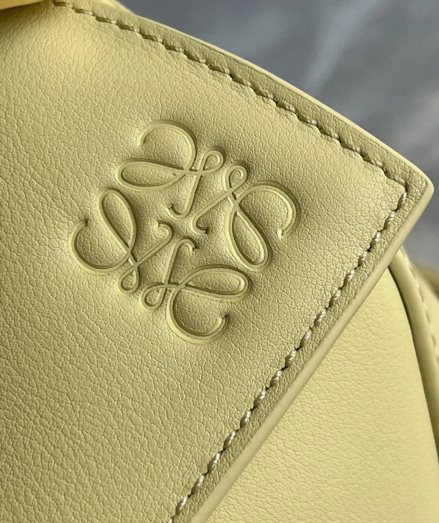 LOEWE BAG