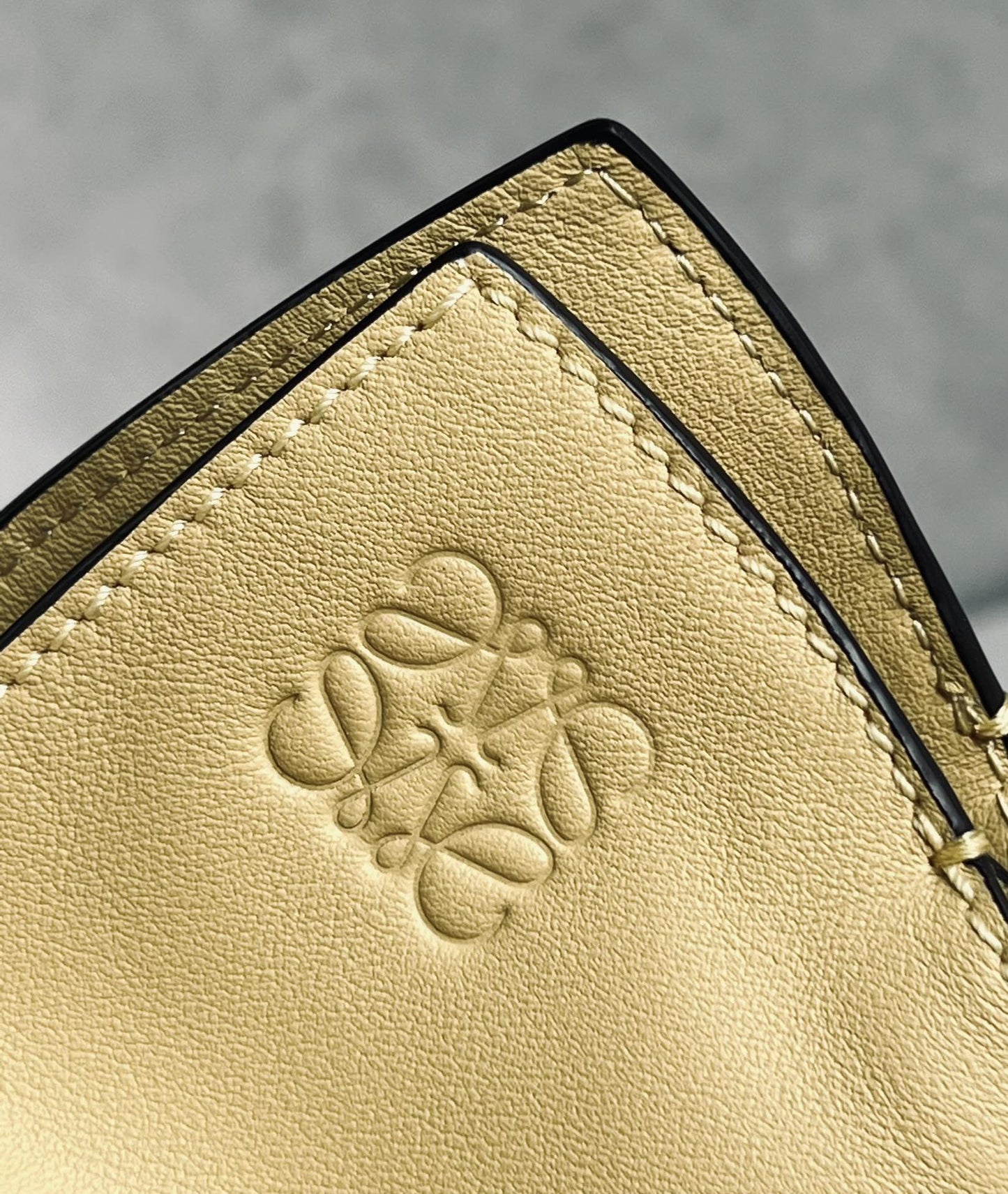 LOEWE BAG