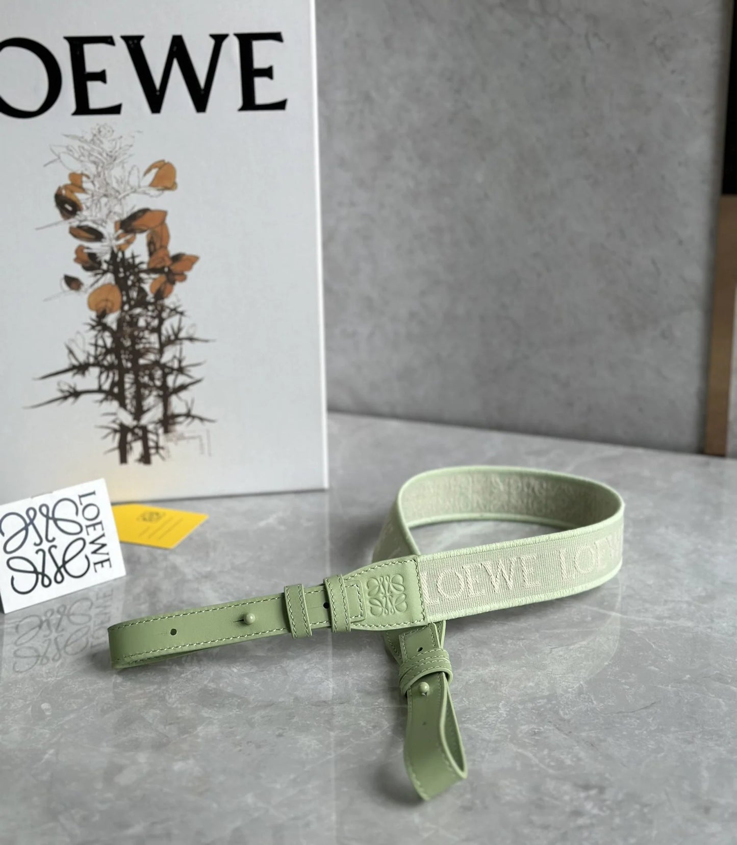 LOEWE BAG