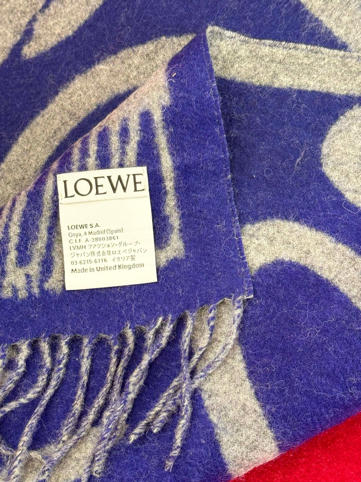 LOEWE SCARF