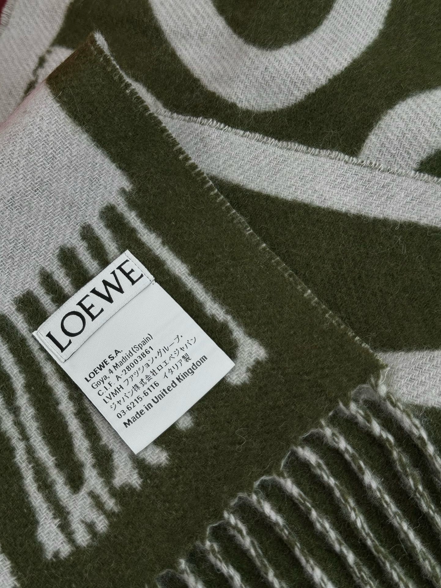LOEWE SCARF