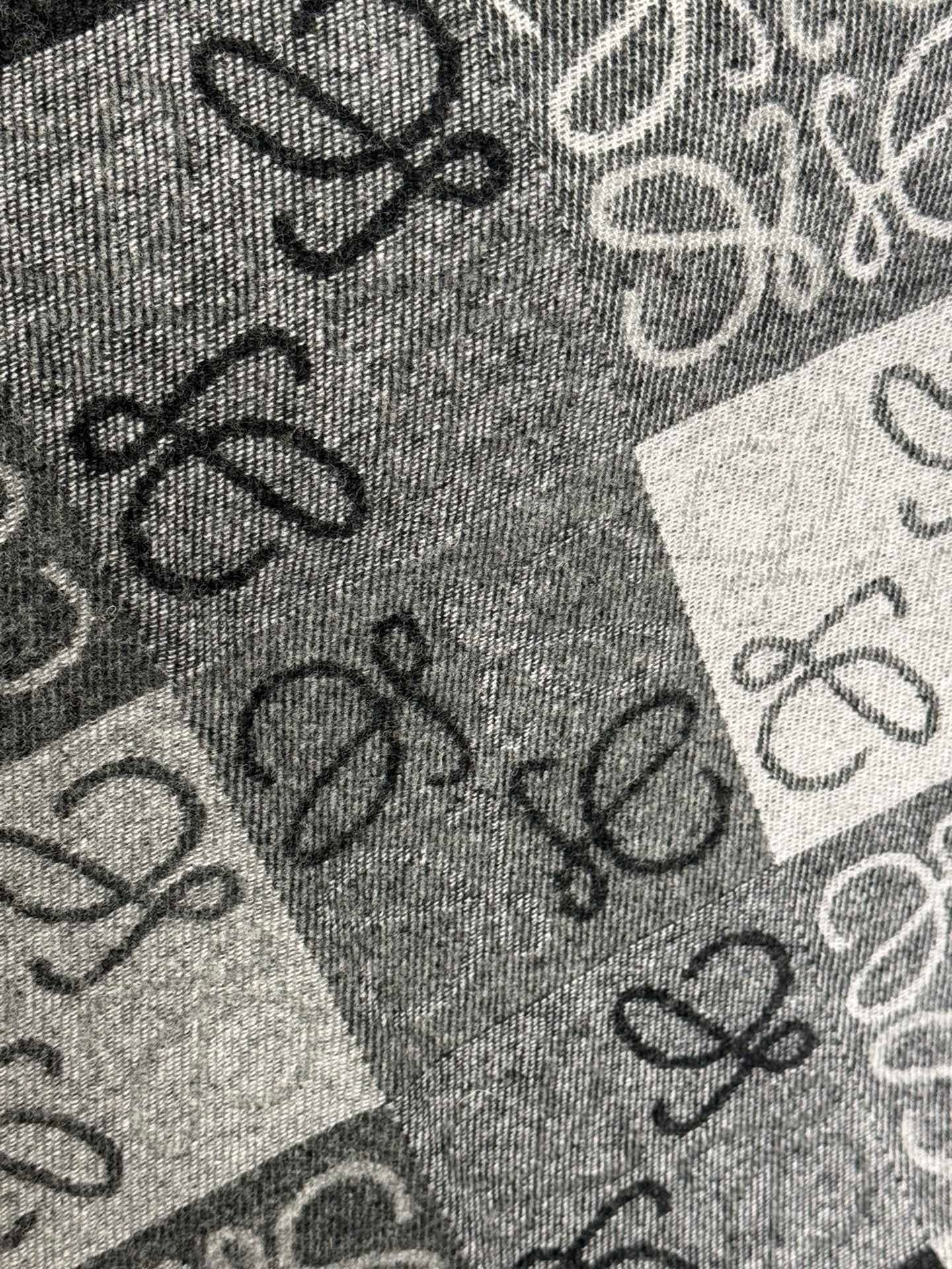LOEWE SCARF