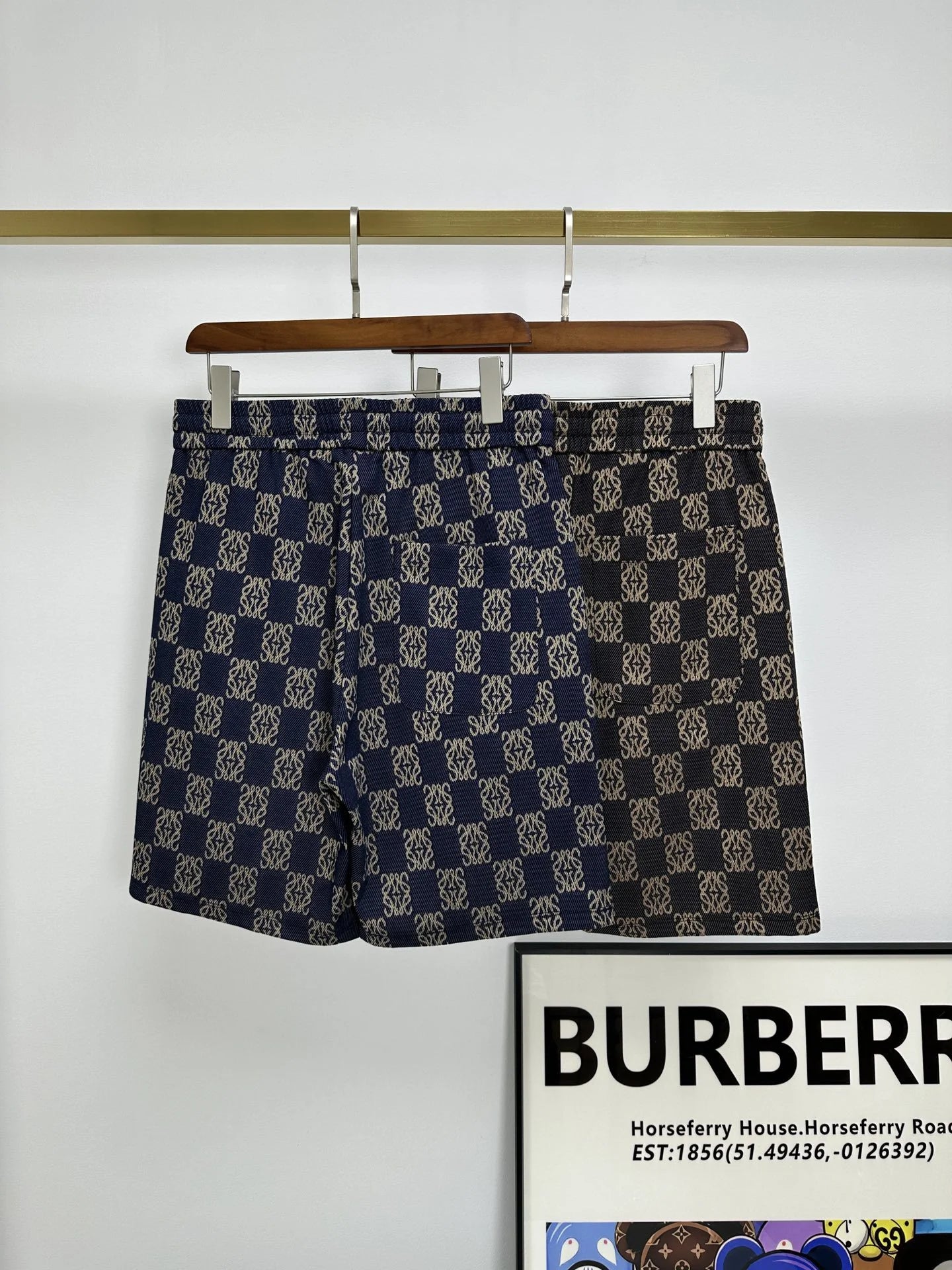 LOEWE SHORTS